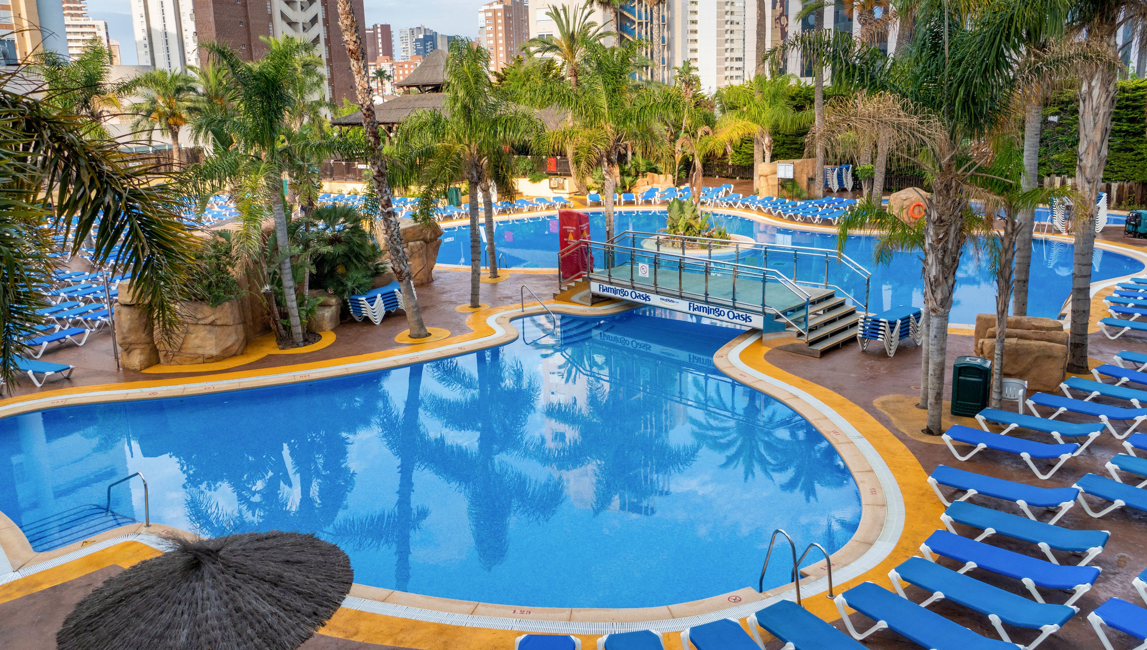 Large curved swimming pools are surrounded by numerous blue sun loungers in a tropical resort setting. Palm trees and lush greenery frame the water, creating a vacation atmosphere. A small bridge crosses part of the pool, and city buildings rise in the background. The scene is bright and sunny, suggesting leisure, relaxation, and holiday travel.