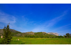 Puig Campana Golf 