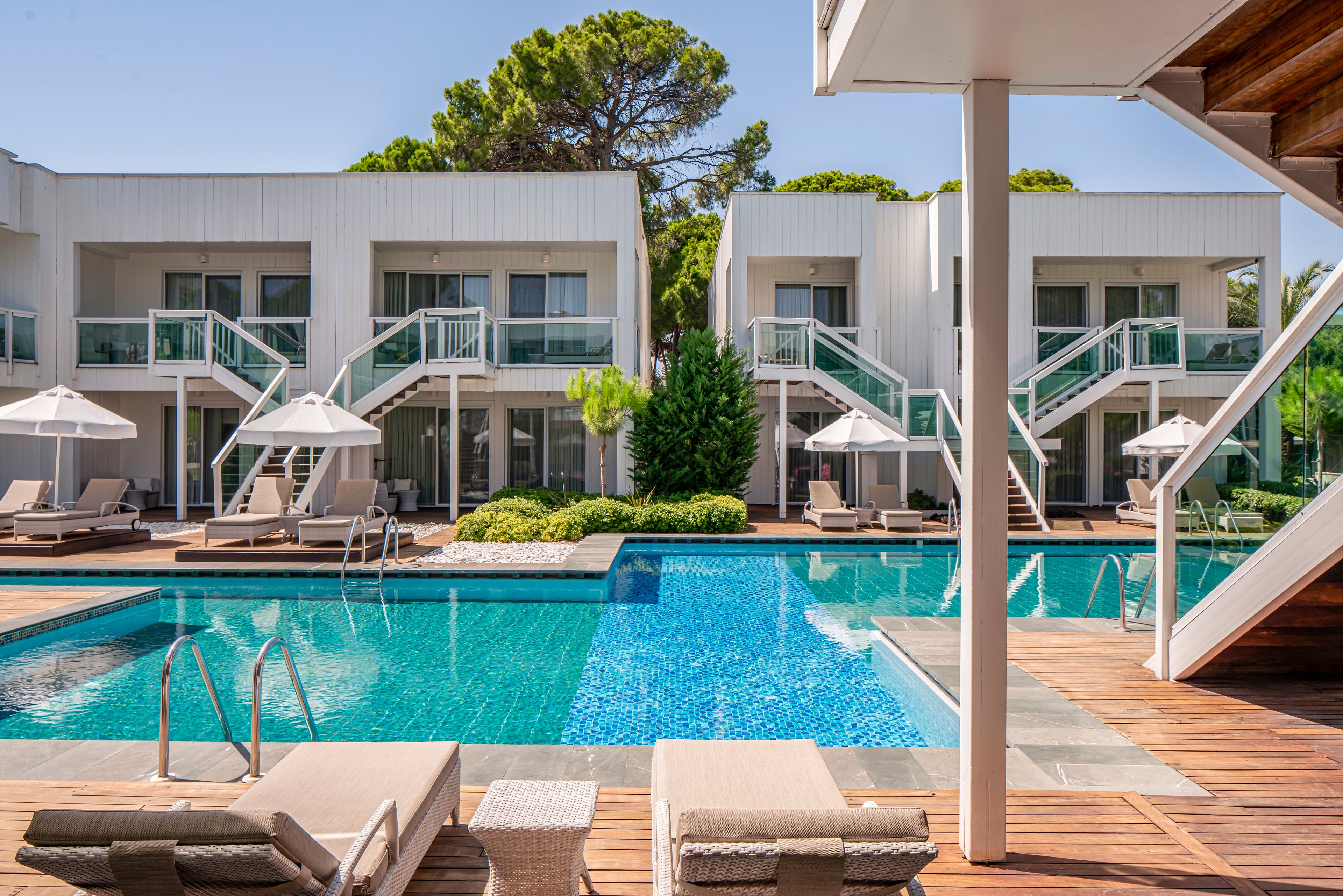 Papillon Zeugma Relaxury