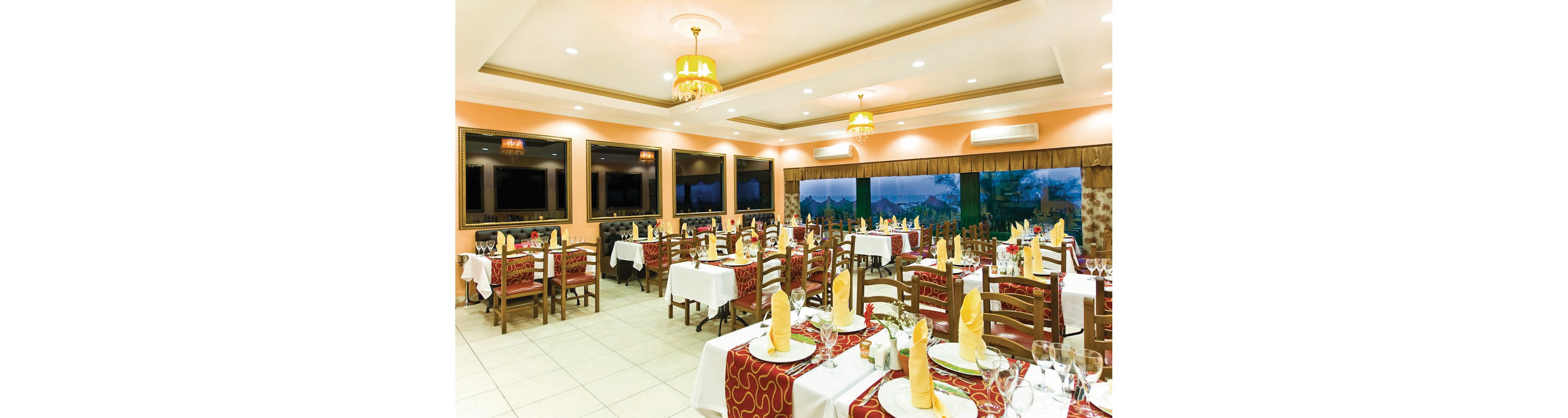 Delphin Diva Premiere