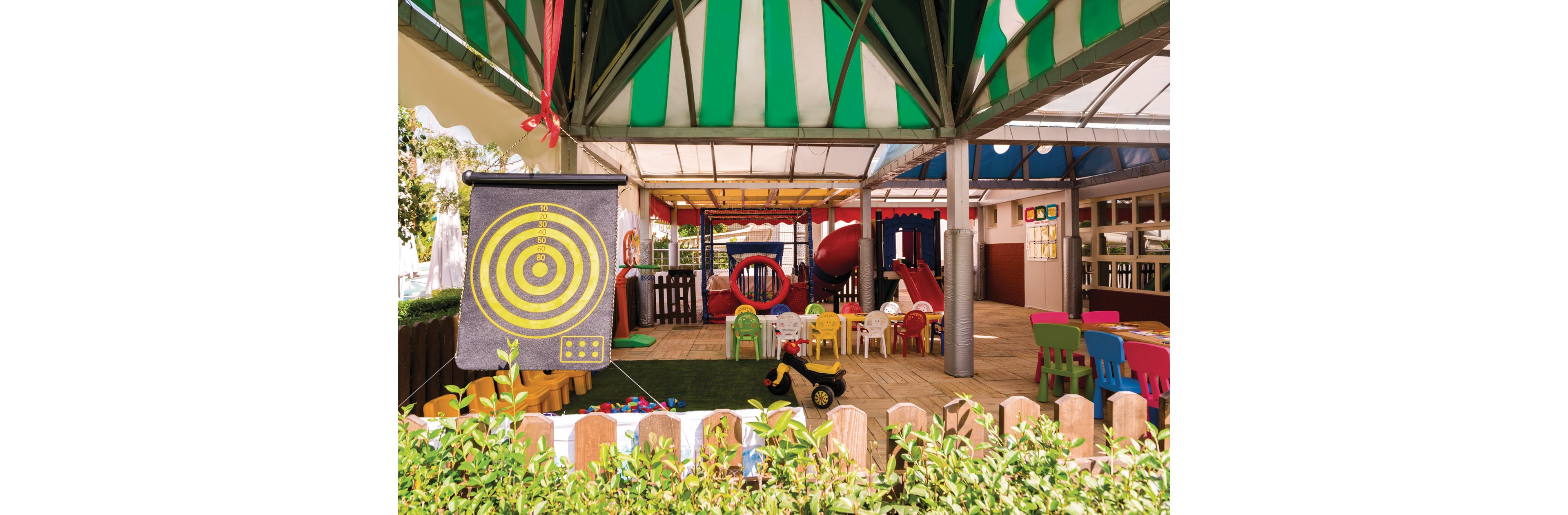 Delphin Diva Premiere