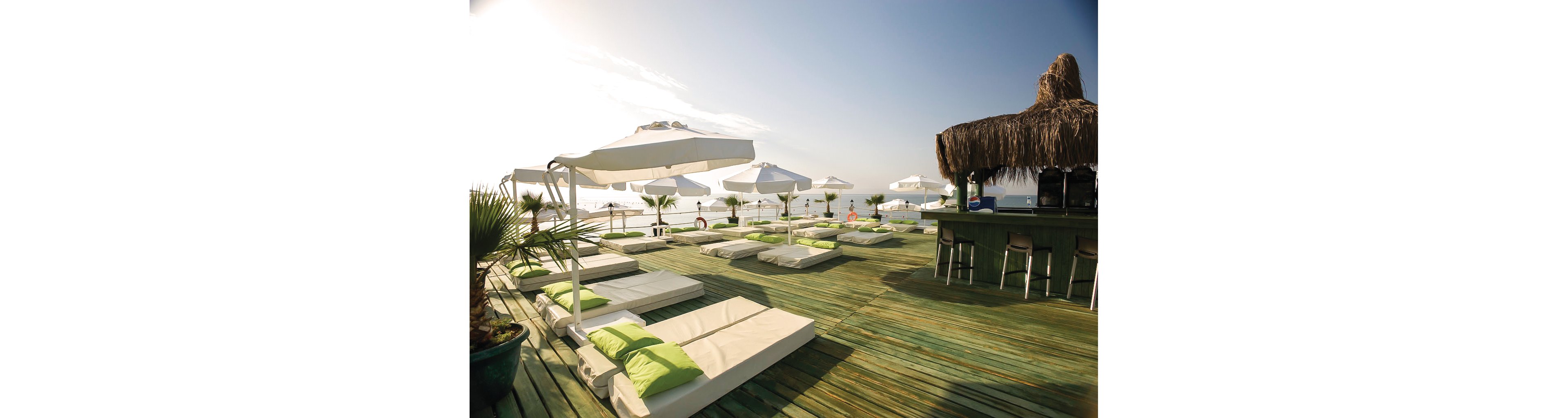 Delphin Diva Premiere