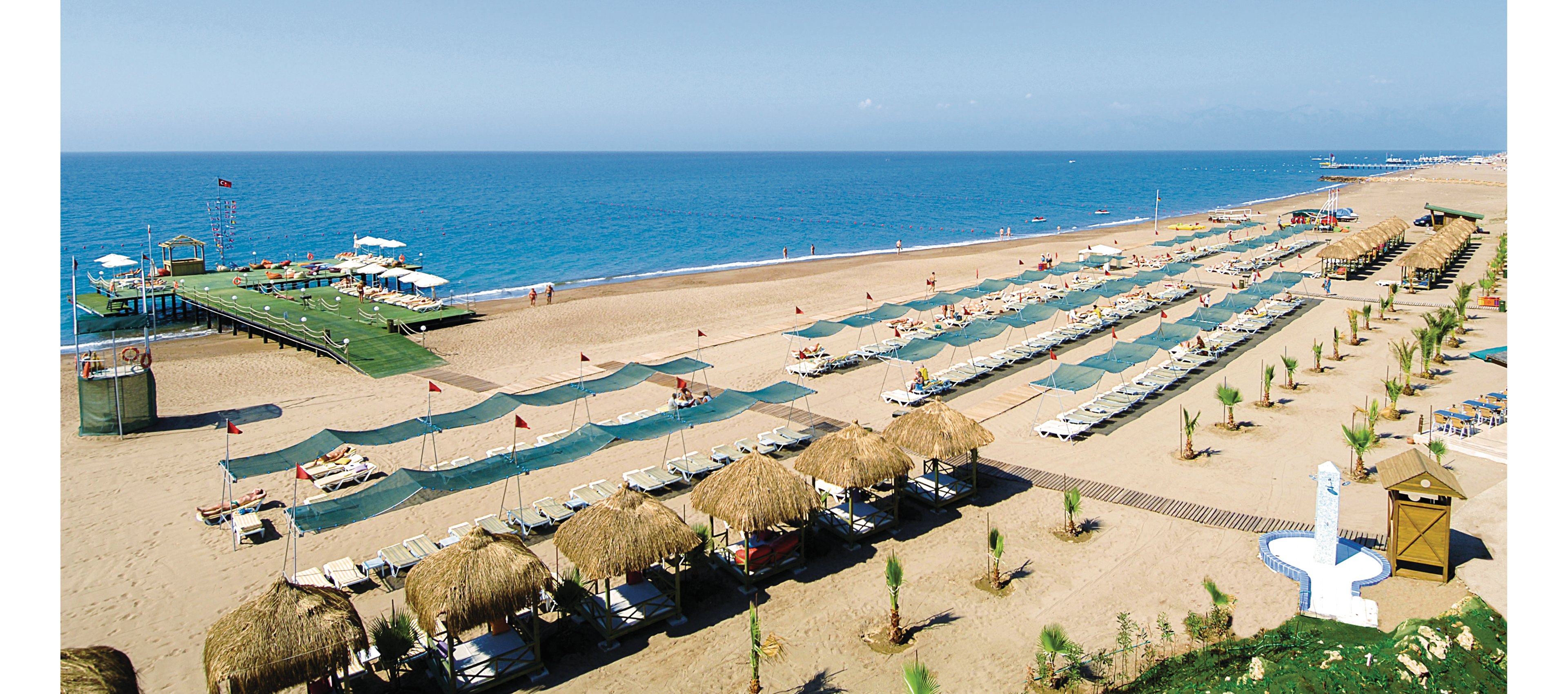 Delphin Diva Premiere