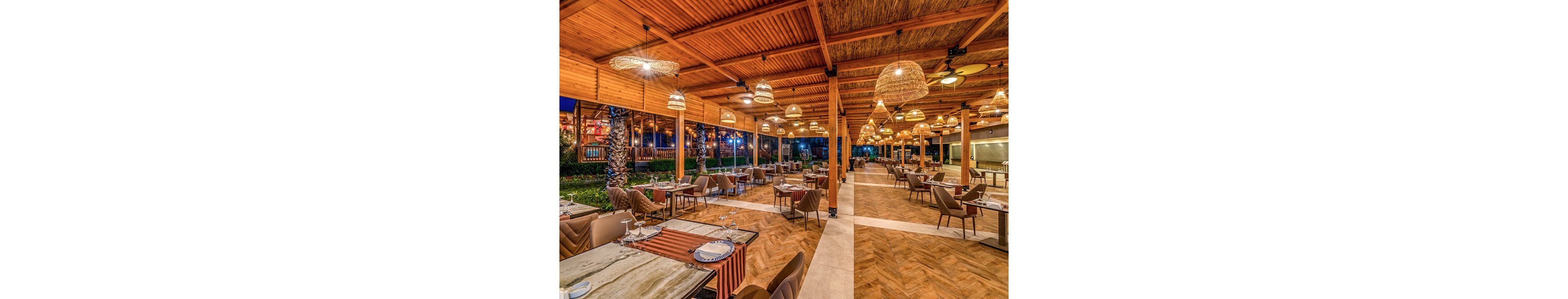 Delphin Diva Premiere