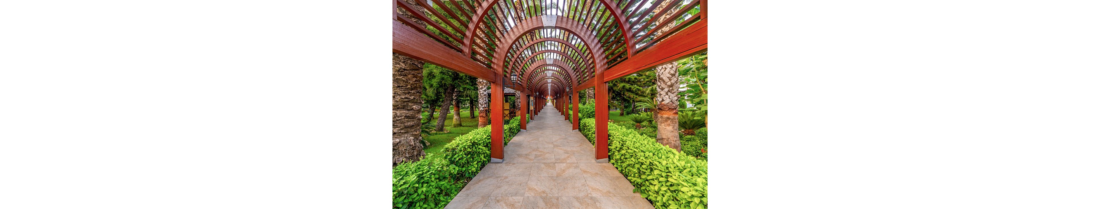 Delphin Diva Premiere