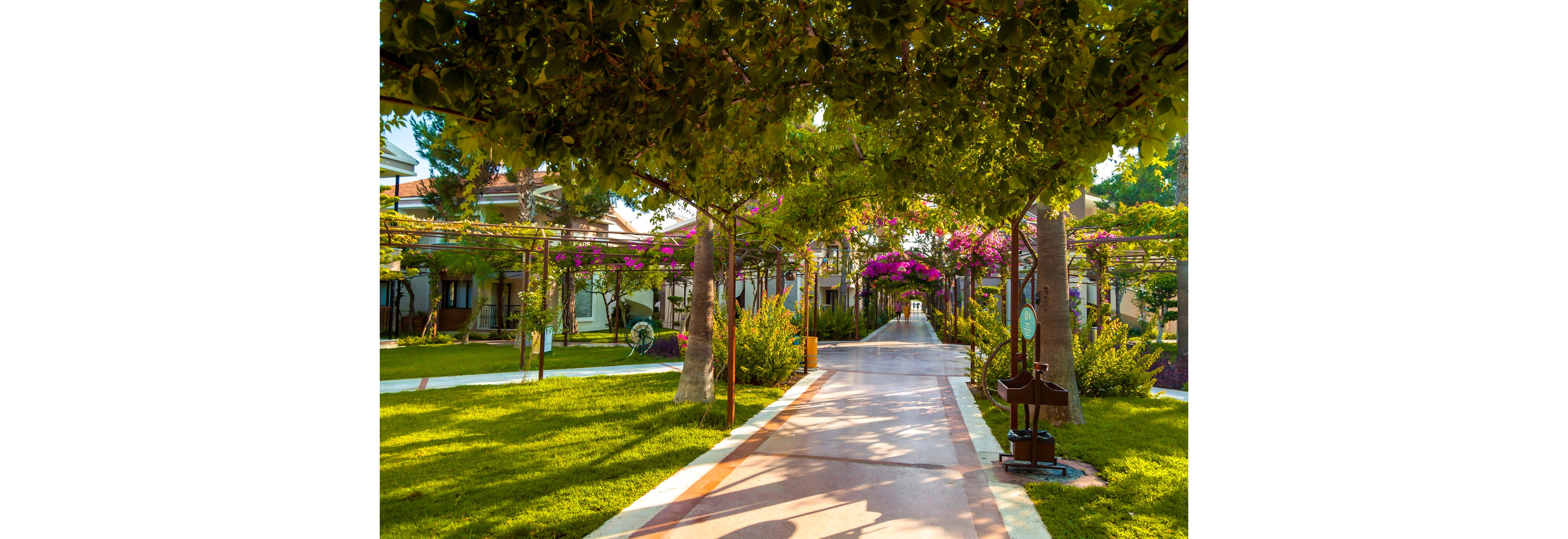 Club Hotel Turan Prince World