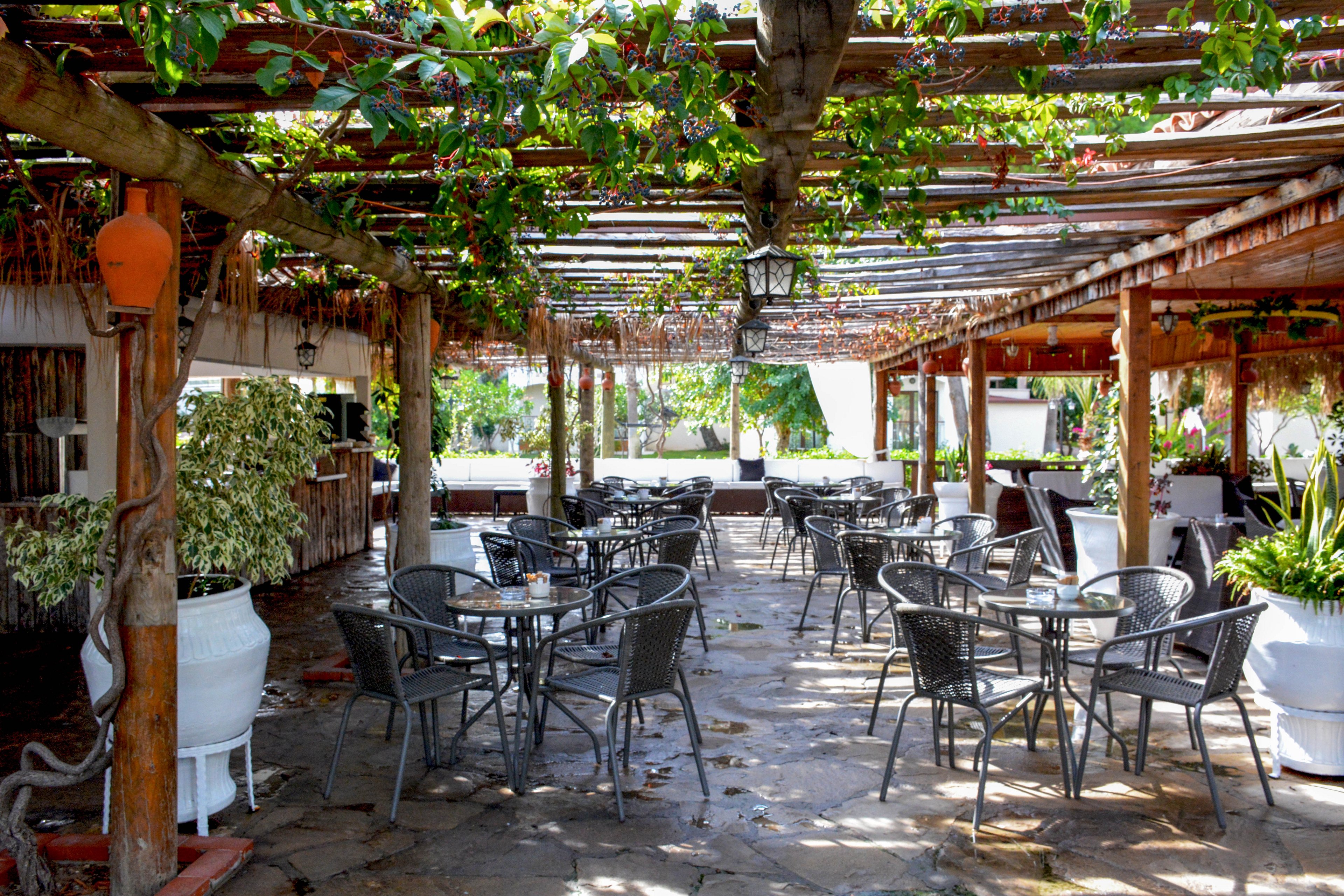 An open-air café terrace features multiple empty metal tables and chairs arranged under a wooden pergola. Green vines and plants hang overhead, creating dappled shade across the stone floor. Large potted plants and rustic wooden beams frame the seating area, giving it a relaxed, natural atmosphere. Bright daylight suggests a warm, inviting outdoor dining setting.