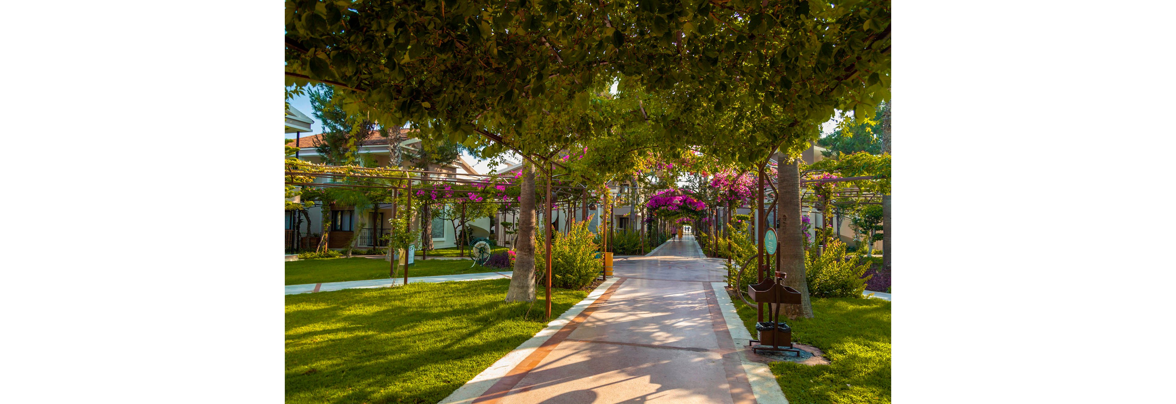 A sunlit walkway leads through a lush garden courtyard lined with trees and flowering vines. The path is bordered by well-kept green grass and ornamental shrubs. Residential or resort-style buildings with balconies and windows frame the scene in the background. Warm afternoon light creates soft shadows and highlights the vibrant pink and purple blossoms overhead.