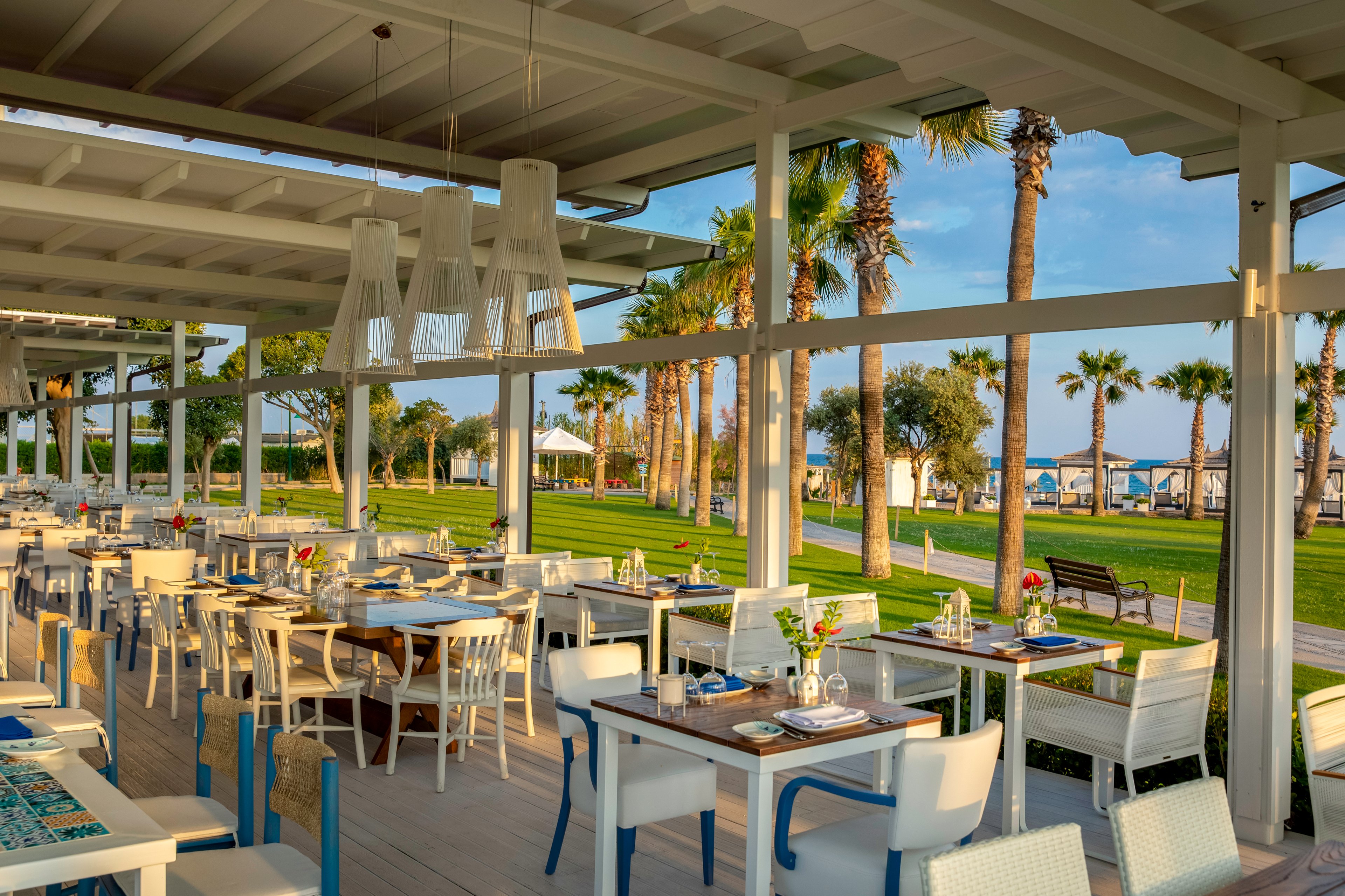 Lara Barut Collection