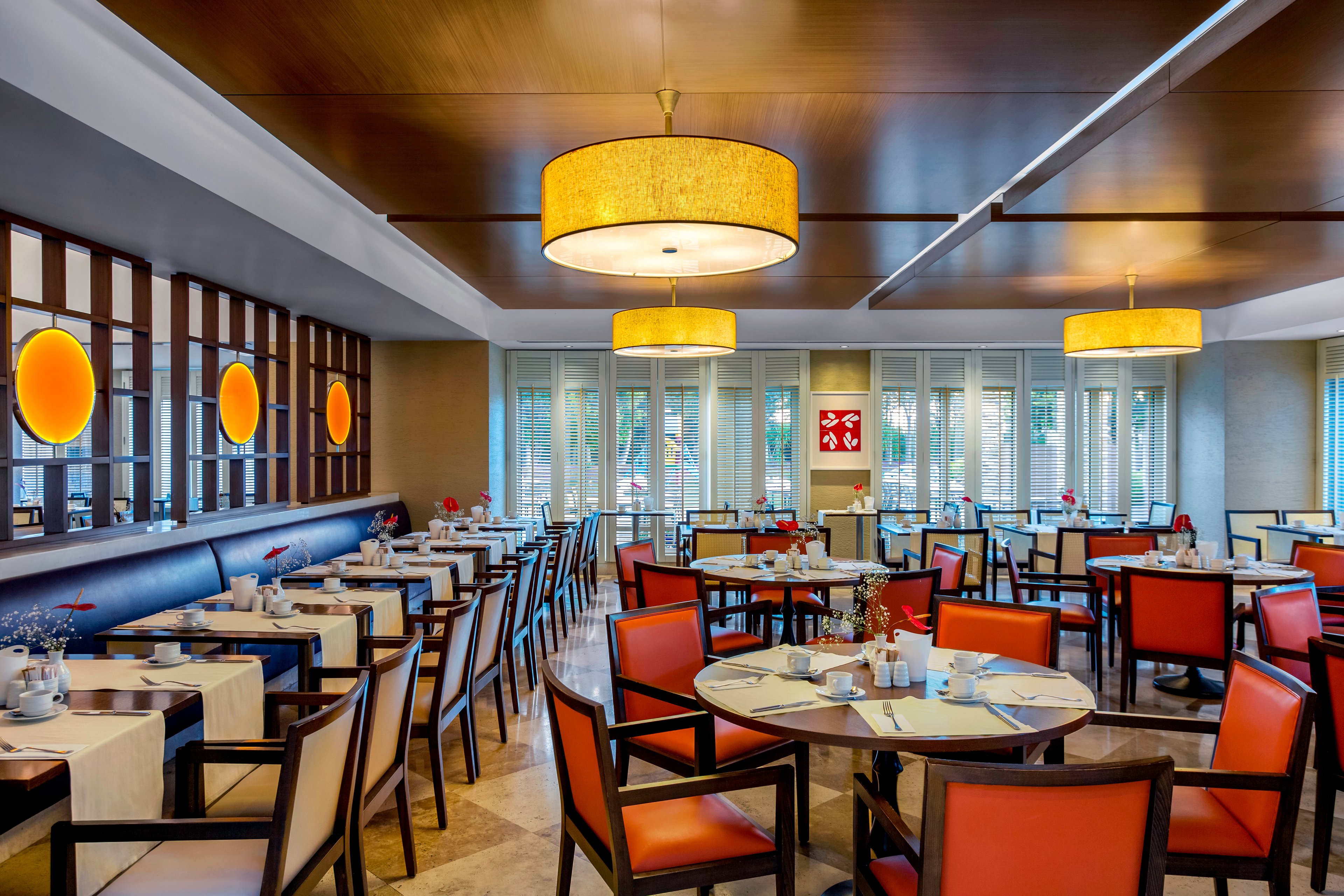 Lara Barut Collection