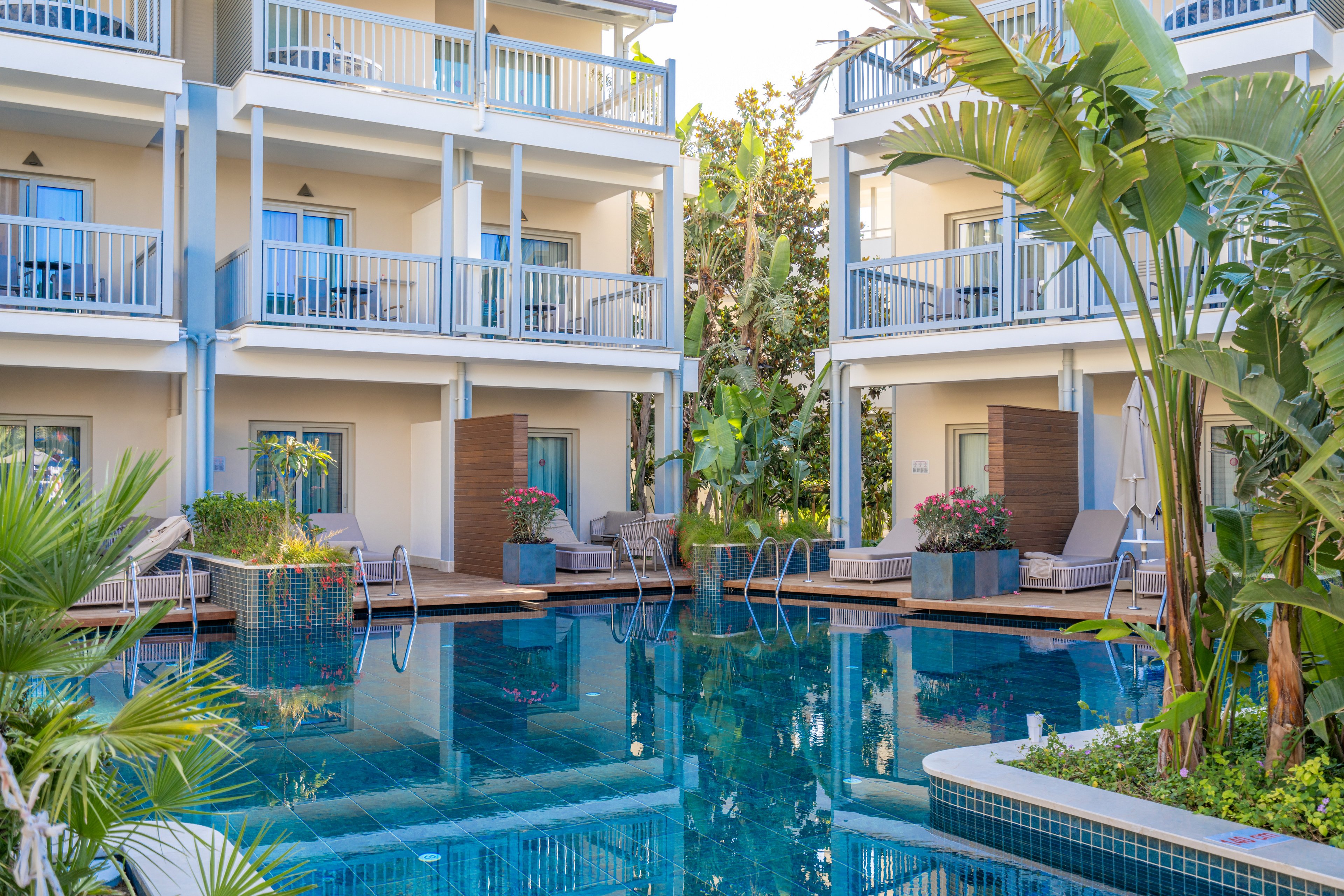 Lara Barut Collection