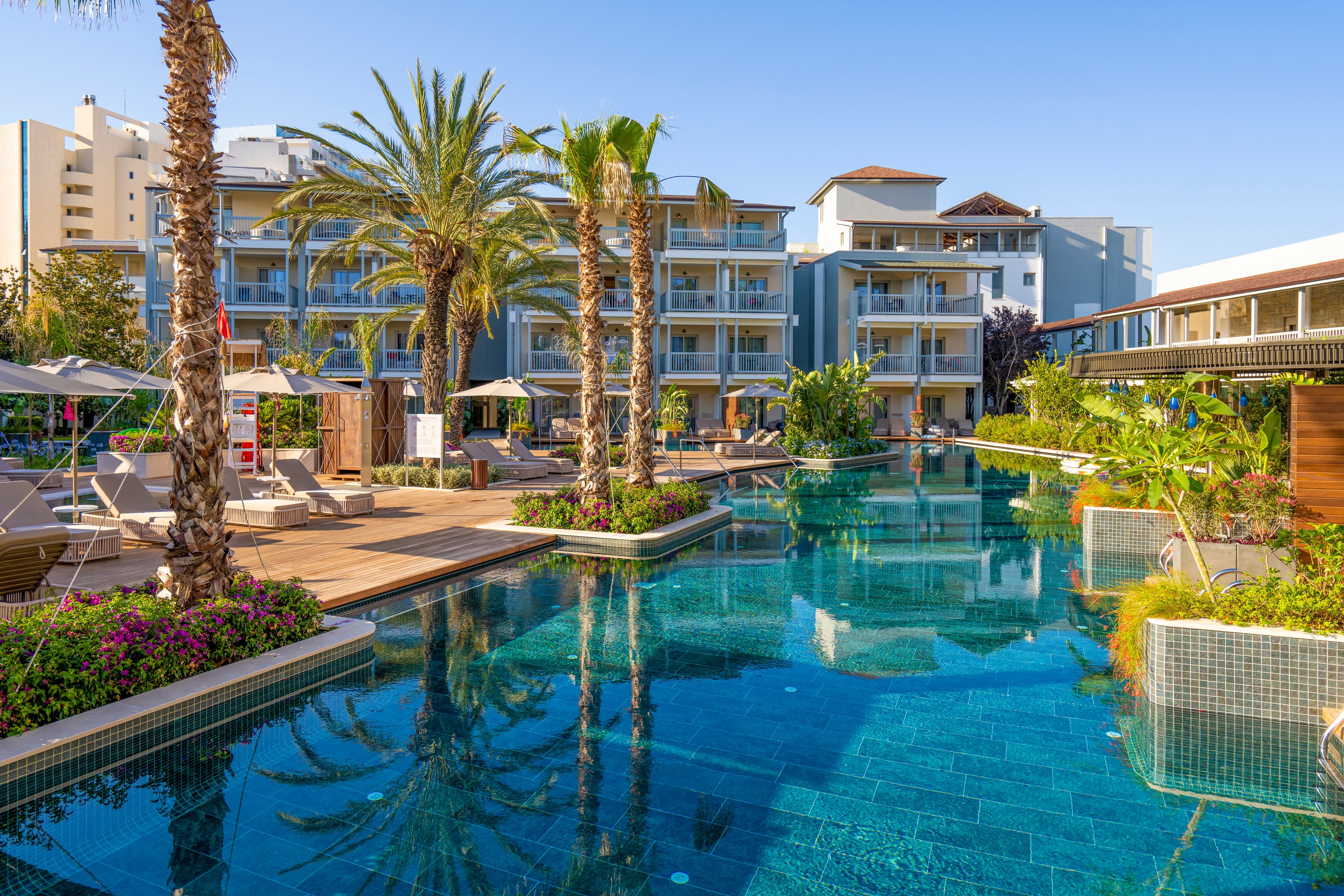 Lara Barut Collection