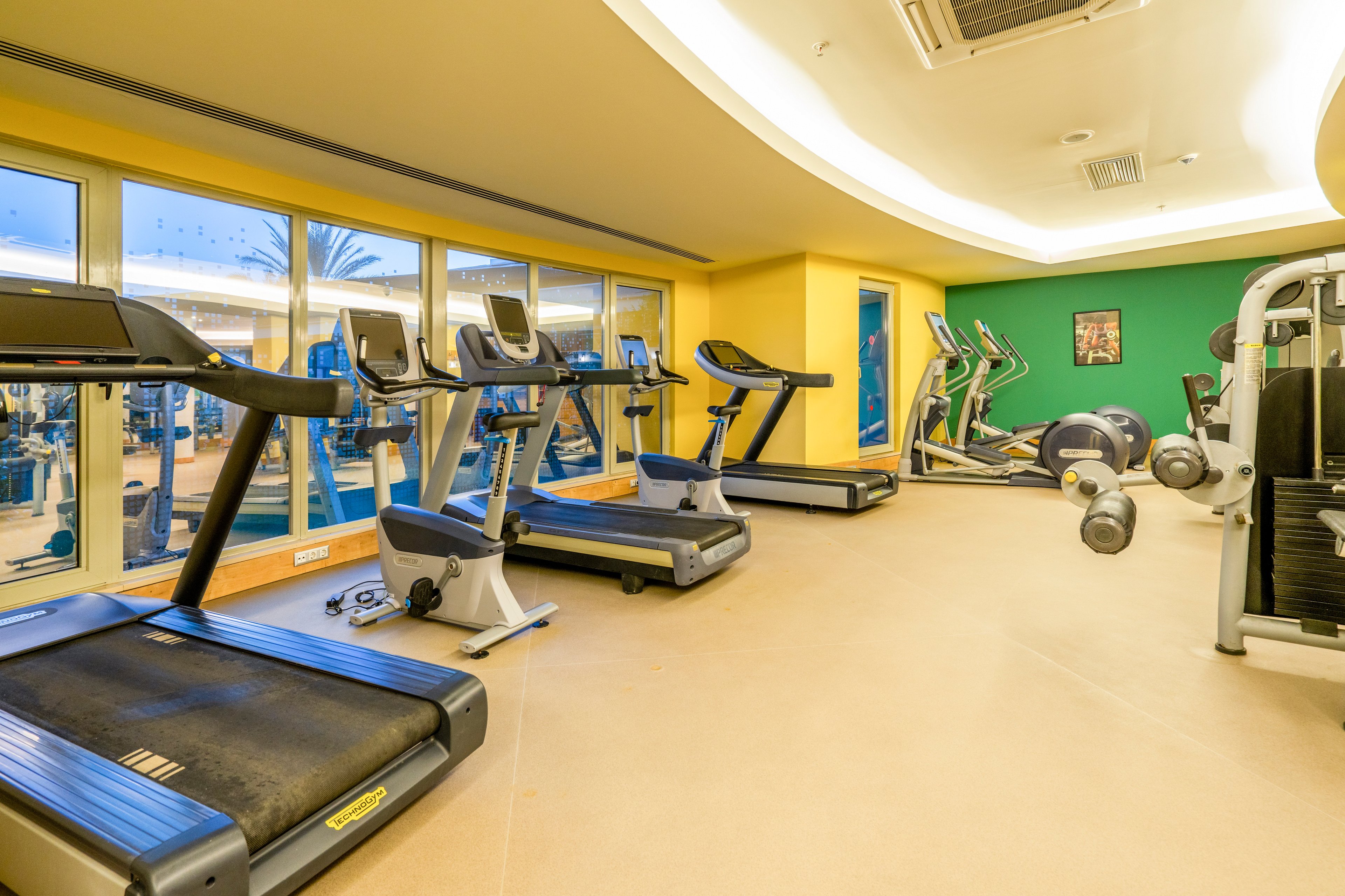 Lara Barut Collection