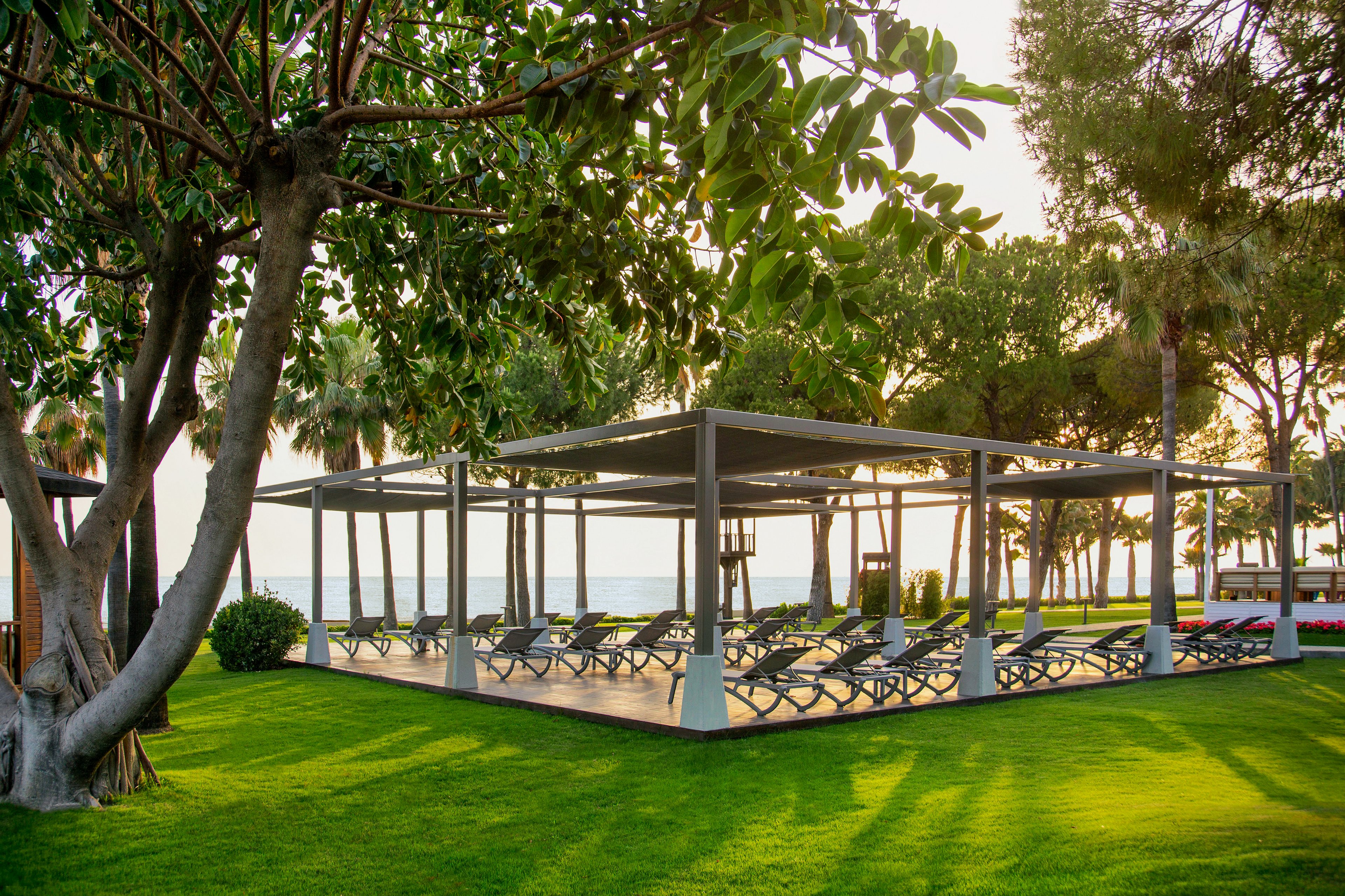 Acanthus Cennet Barut Collection