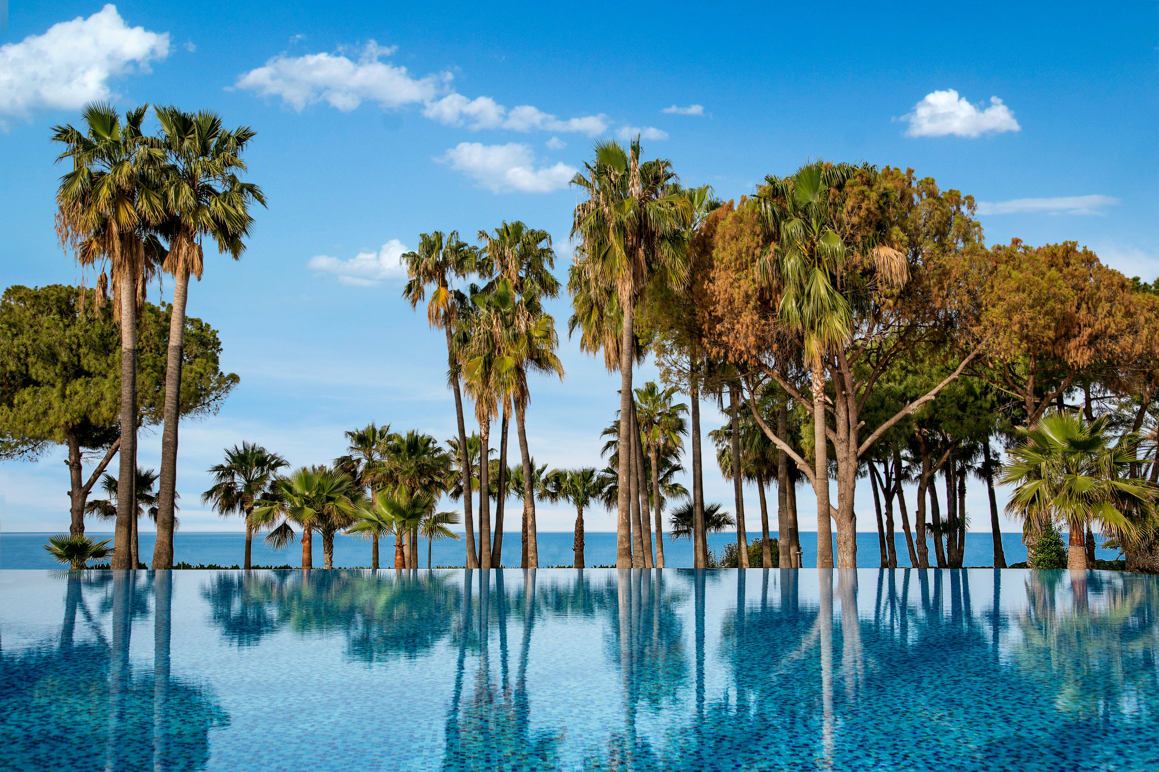 Acanthus Cennet Barut Collection