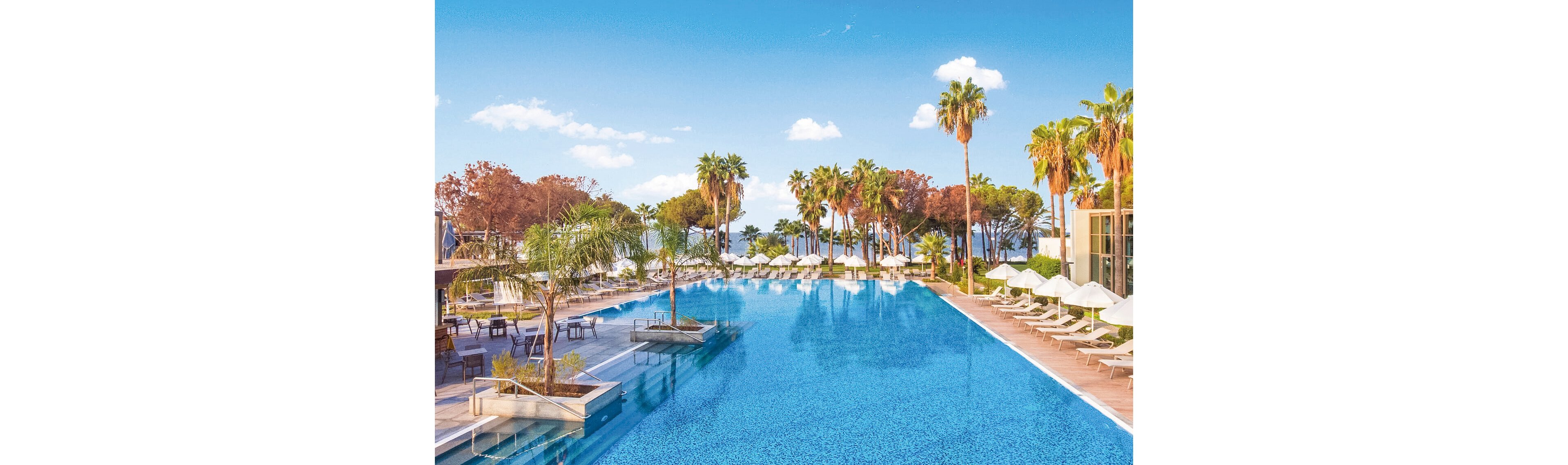 Acanthus Cennet Barut Collection