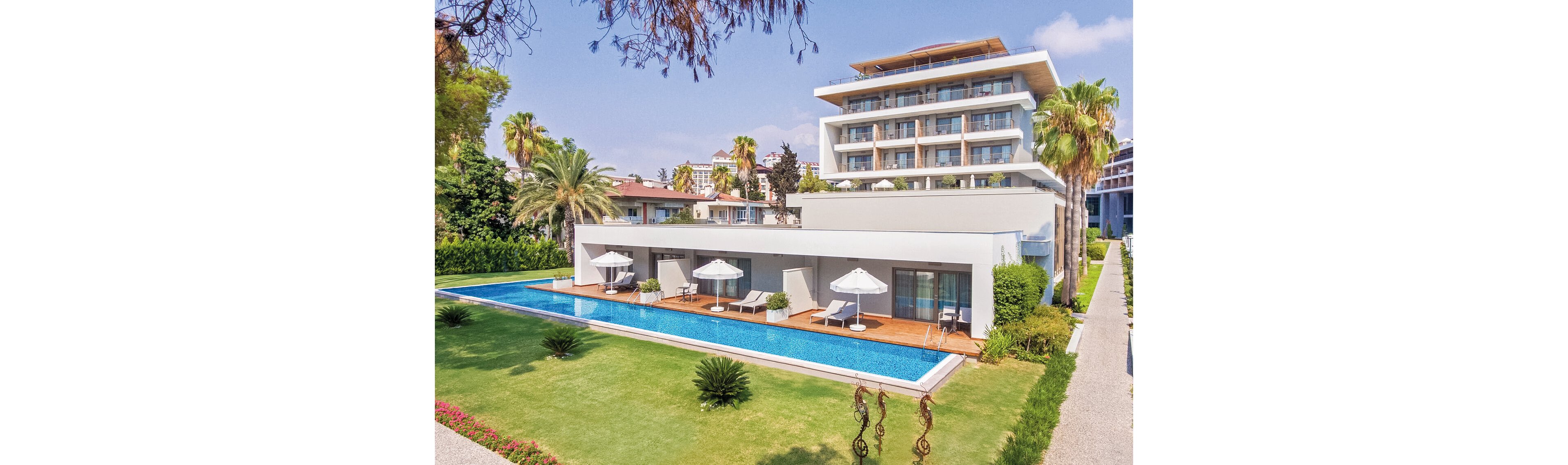 Acanthus Cennet Barut Collection