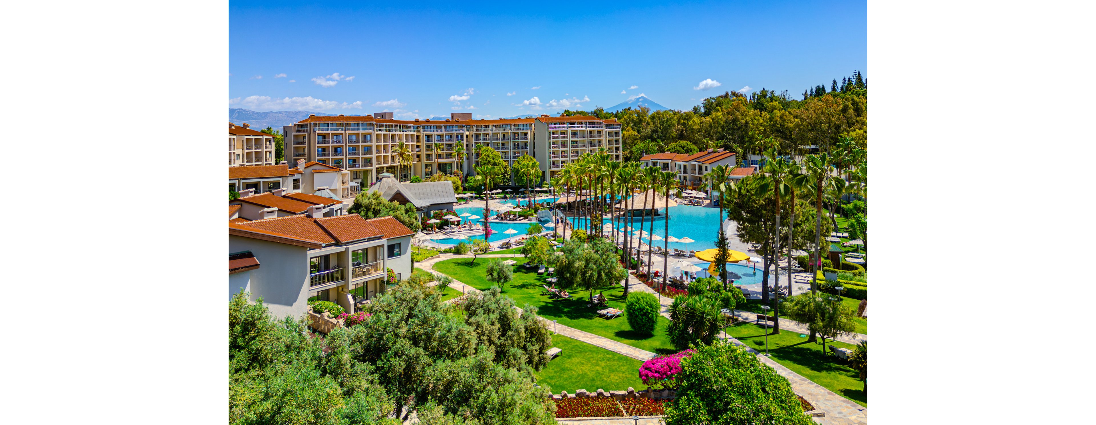 Arum Barut Collection