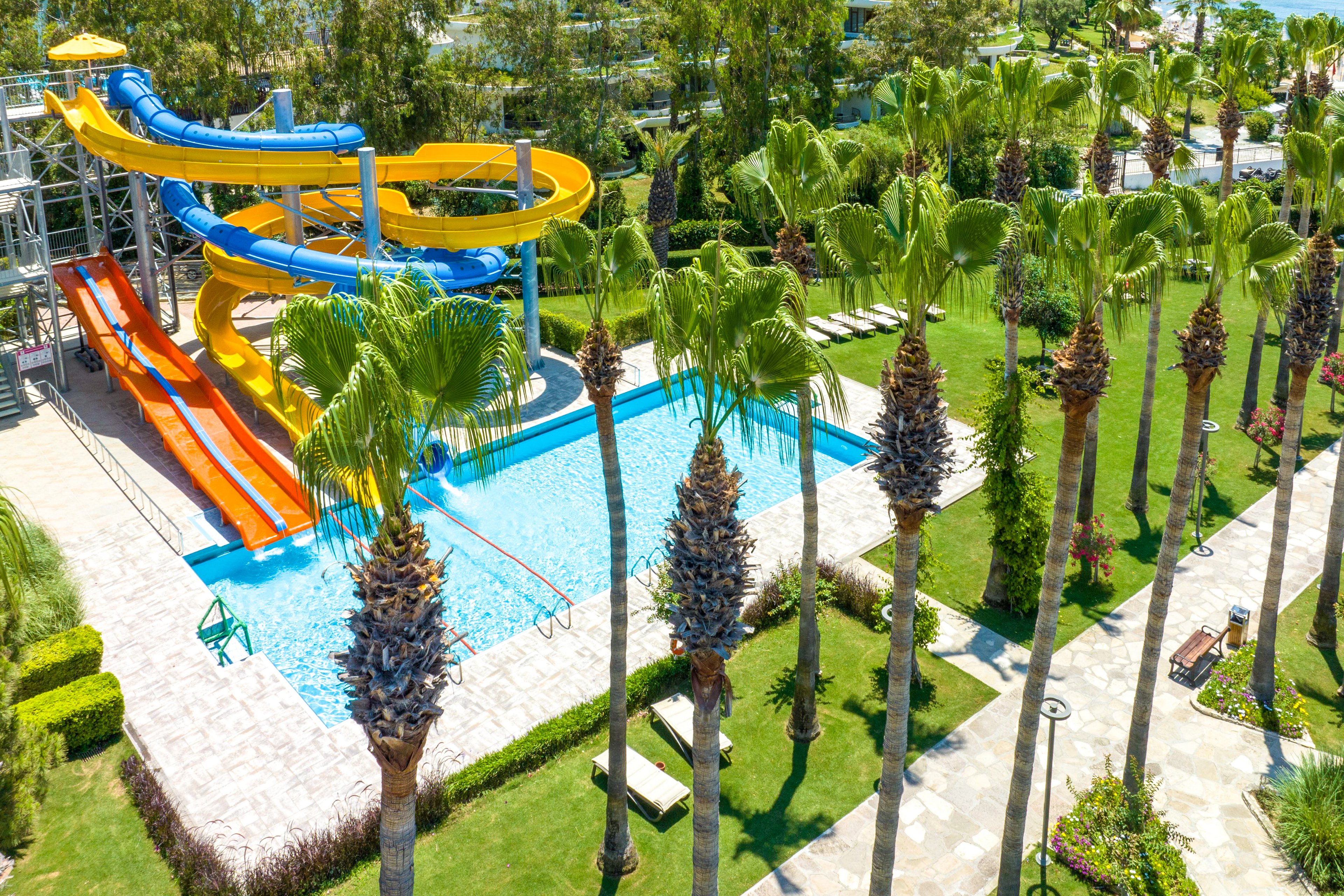 Arum Barut Collection