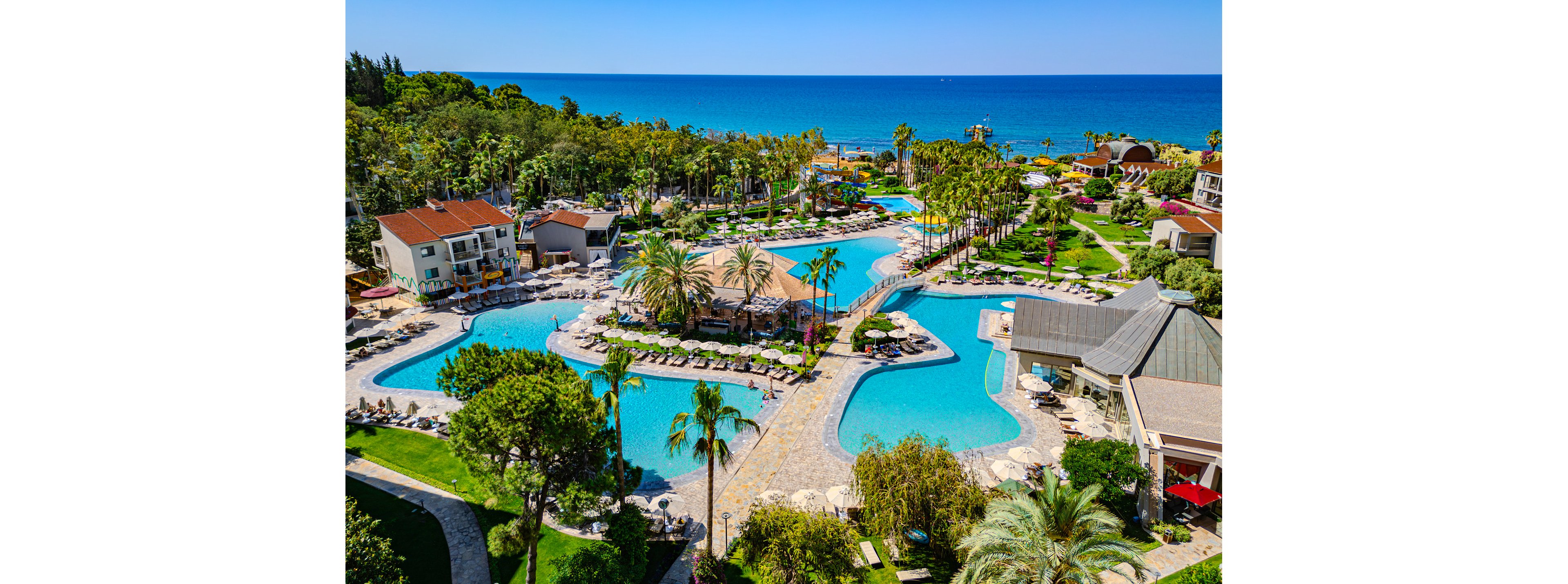 Arum Barut Collection