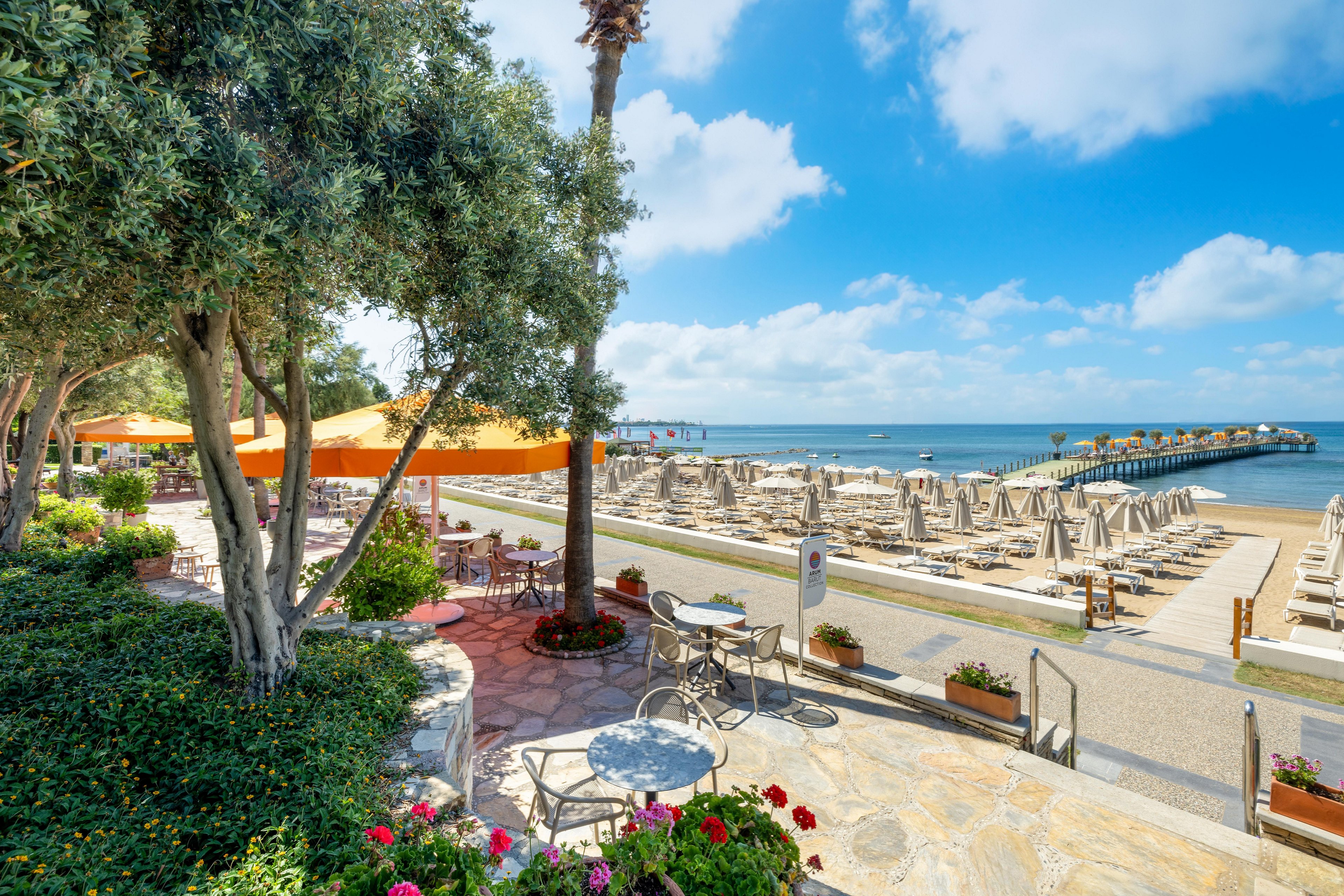 Arum Barut Collection