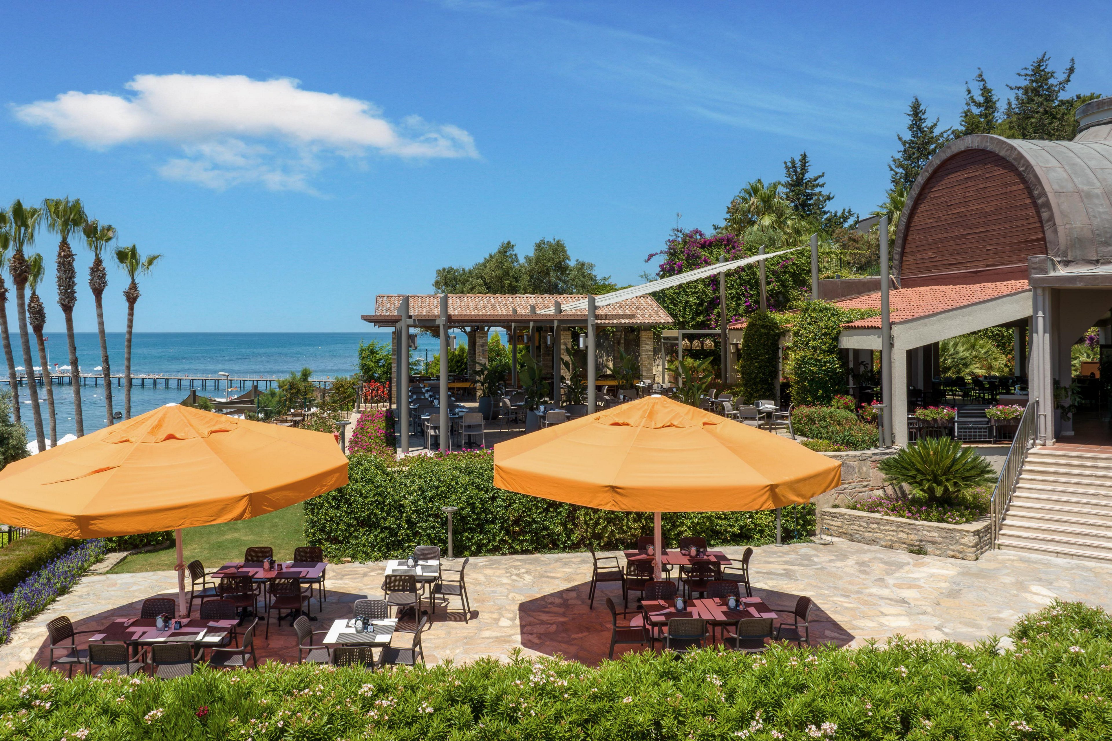 Arum Barut Collection