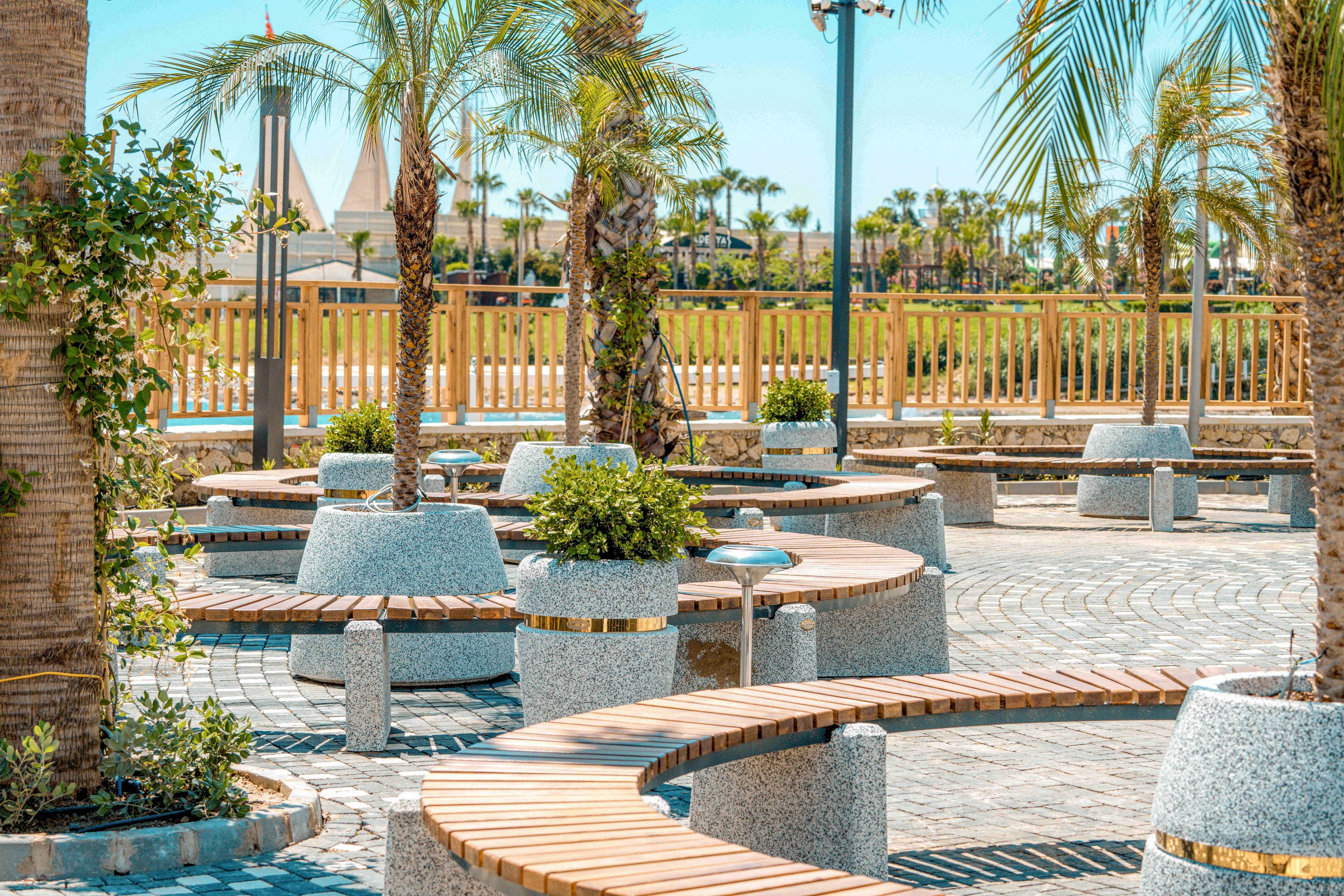 The image shows a contemporary outdoor plaza with curved wooden benches integrated into large stone planters. Tall palm trees and smaller green shrubs are arranged along a patterned stone walkway. A wooden fence and landscaped area appear in the background under bright, clear daylight. The overall scene suggests a clean, modern public space designed for relaxation and social gathering.
