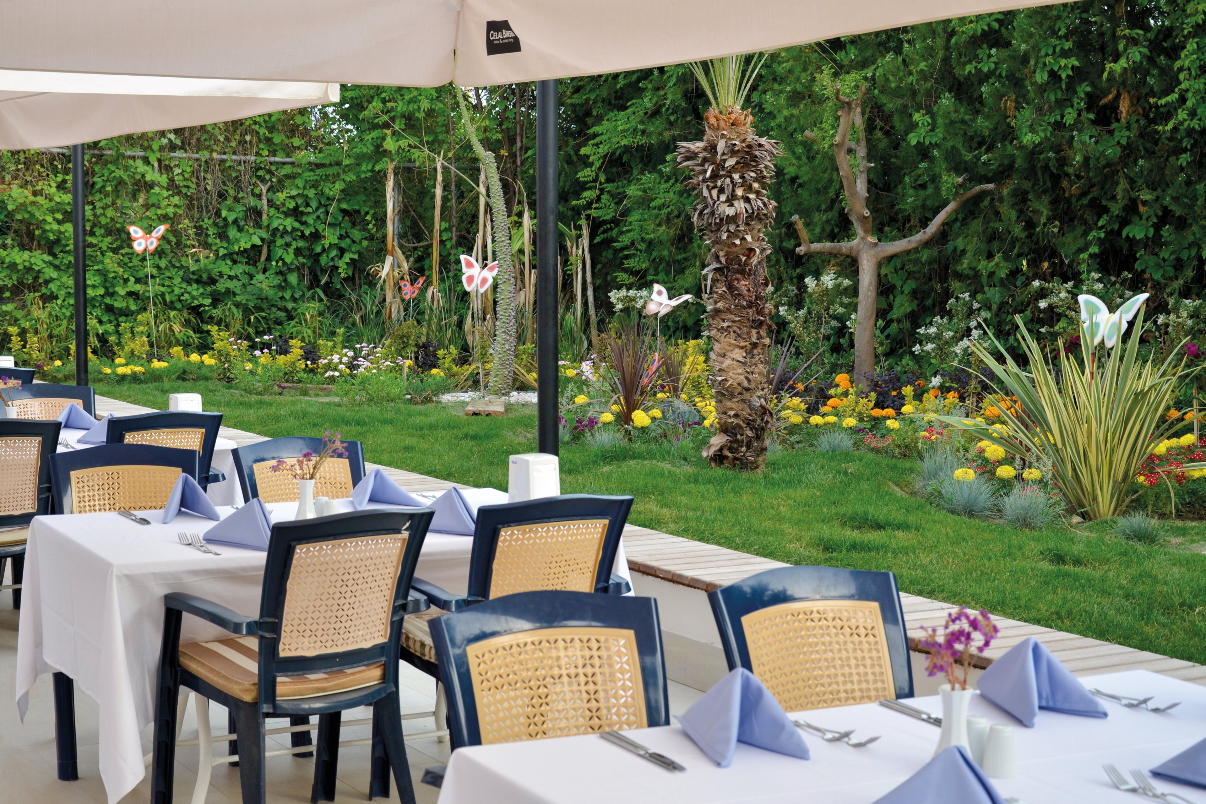 Calimera Side Resort