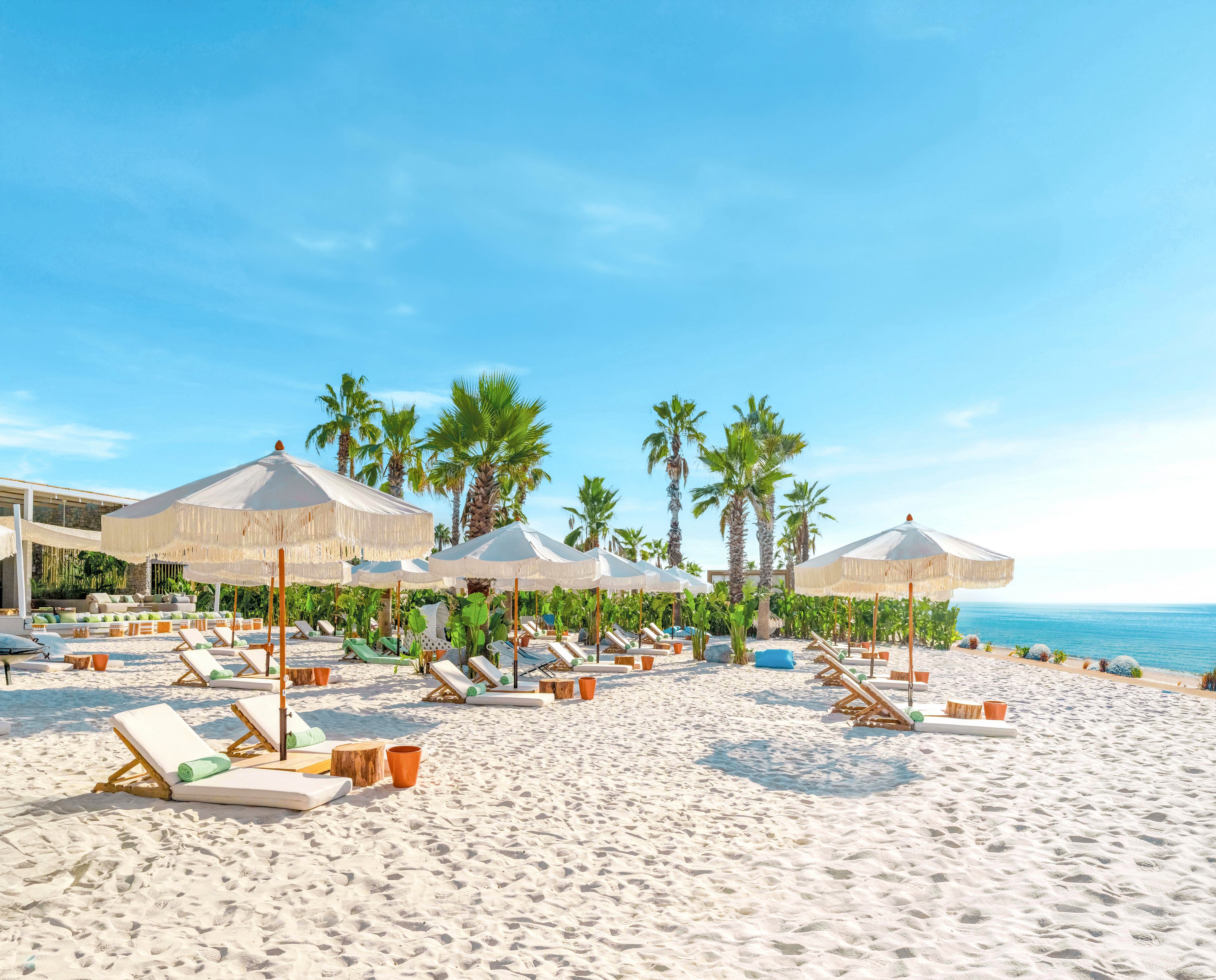 A bright, sandy beach is lined with cushioned lounge chairs and white sun umbrellas facing the ocean. Palm trees and lush greenery frame the resort area, creating a tropical atmosphere. The clear blue sky and calm sea suggest a warm, relaxing day by the water. The scene feels tranquil and inviting, ideal for a seaside vacation or coastal getaway.