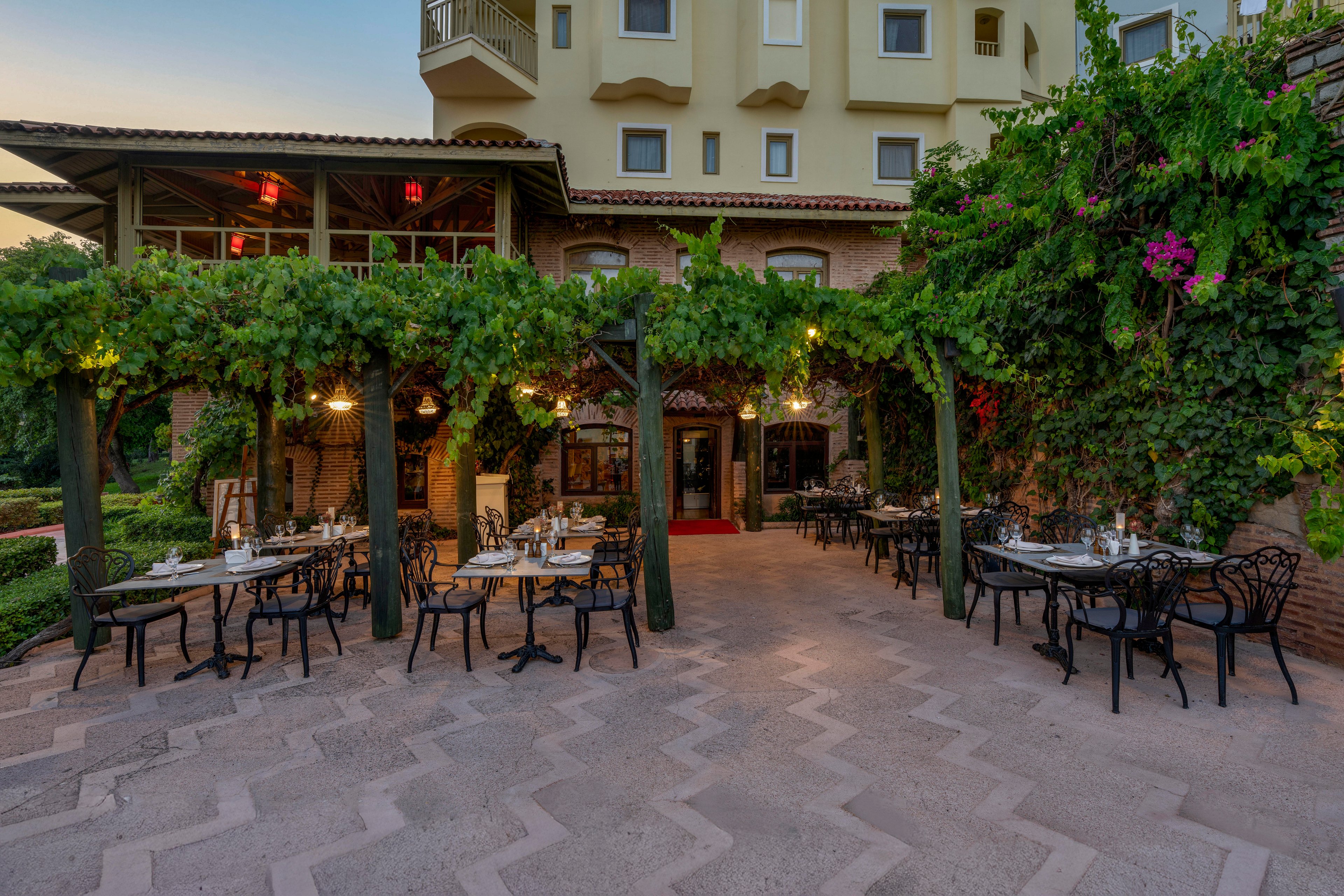 An inviting outdoor restaurant terrace is set beneath lush green vines and hanging lights in front of a Mediterranean-style building. Tables are neatly arranged with chairs, glassware, and place settings, ready for evening diners. Warm ambient lighting and a soft sunset sky create a cozy, romantic atmosphere. Flowering plants and greenery frame the scene, enhancing the relaxed, garden-like setting.