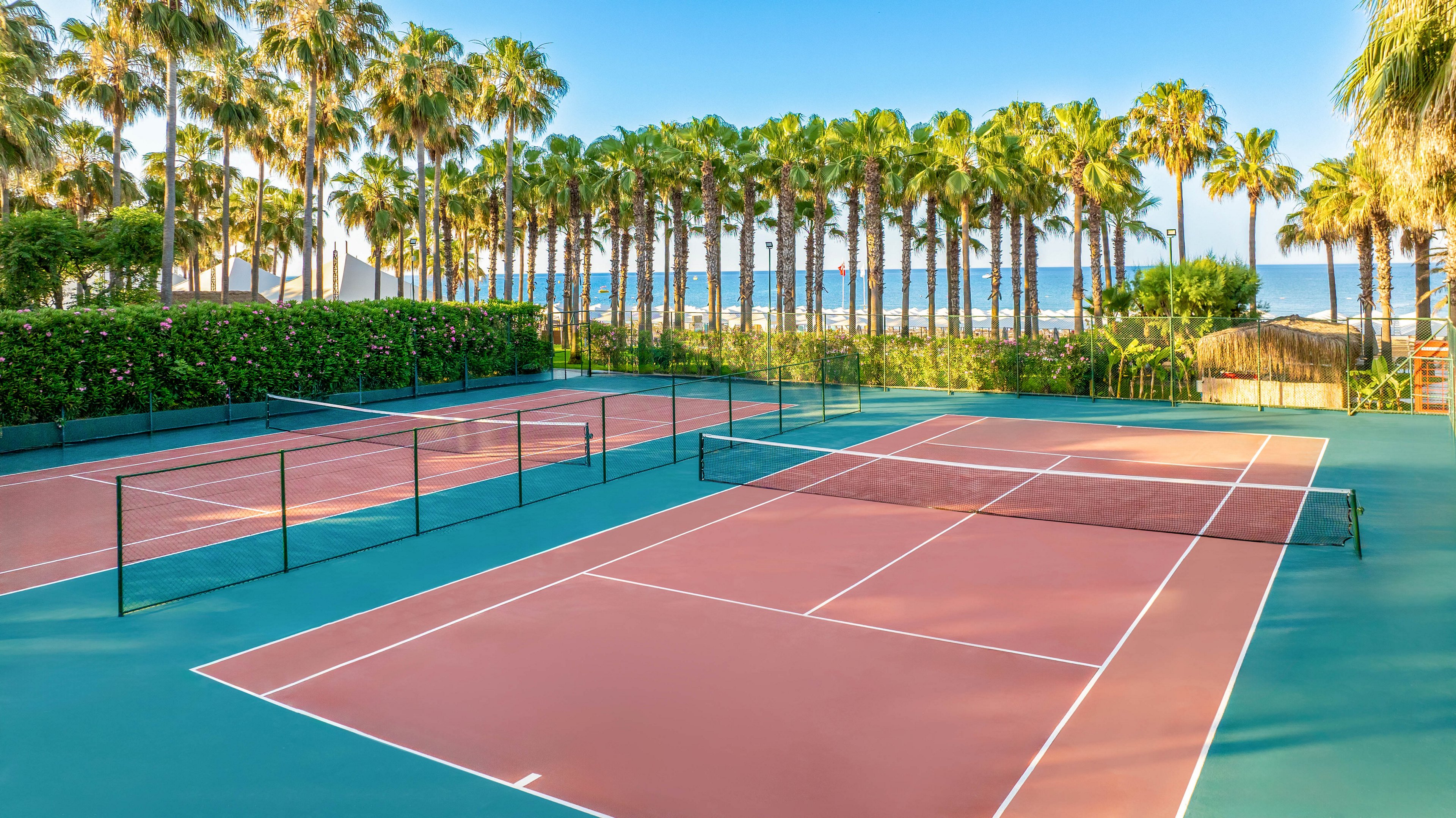 A set of empty tennis courts is shown under clear blue skies. The courts feature red playing surfaces with green borders and black nets. Tall palm trees line the background, leading toward a calm ocean and sandy beach. The bright daylight and vivid colors create a relaxed, vacation-like atmosphere.
