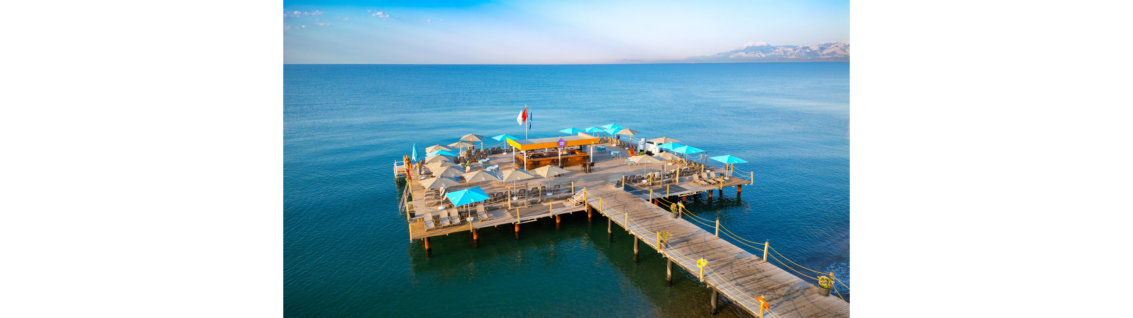 Nirvana Cosmopolitan