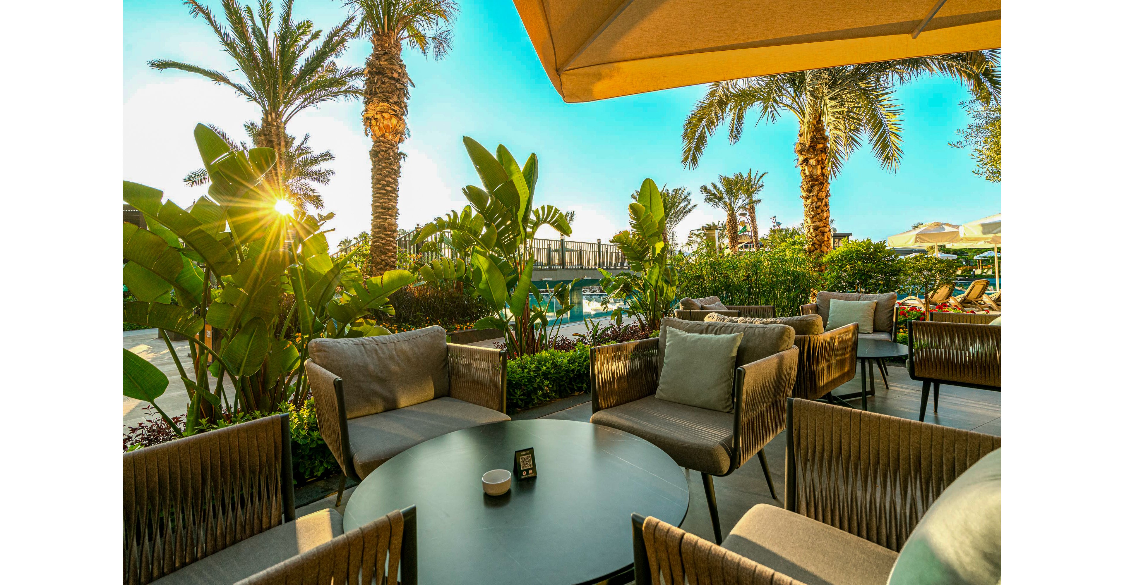 Calyptus Kirman Premium