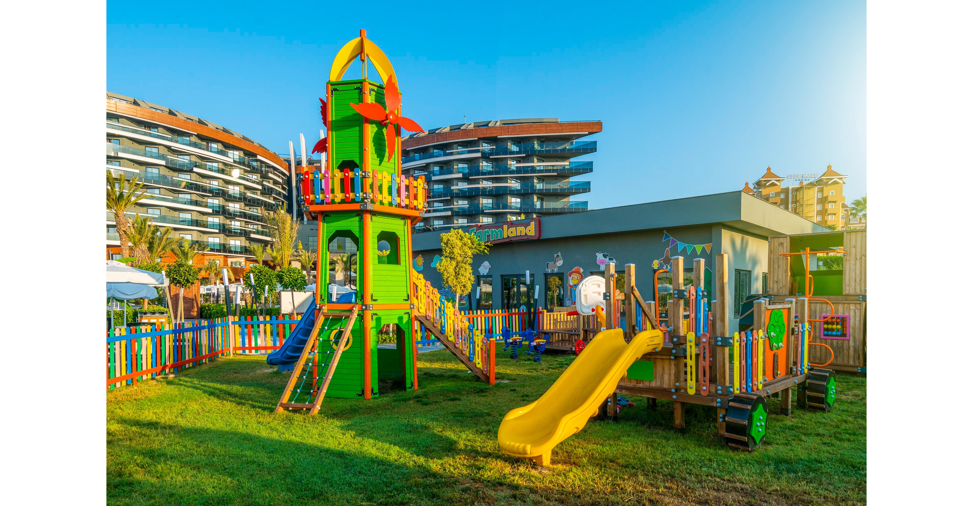 Calyptus Kirman Premium