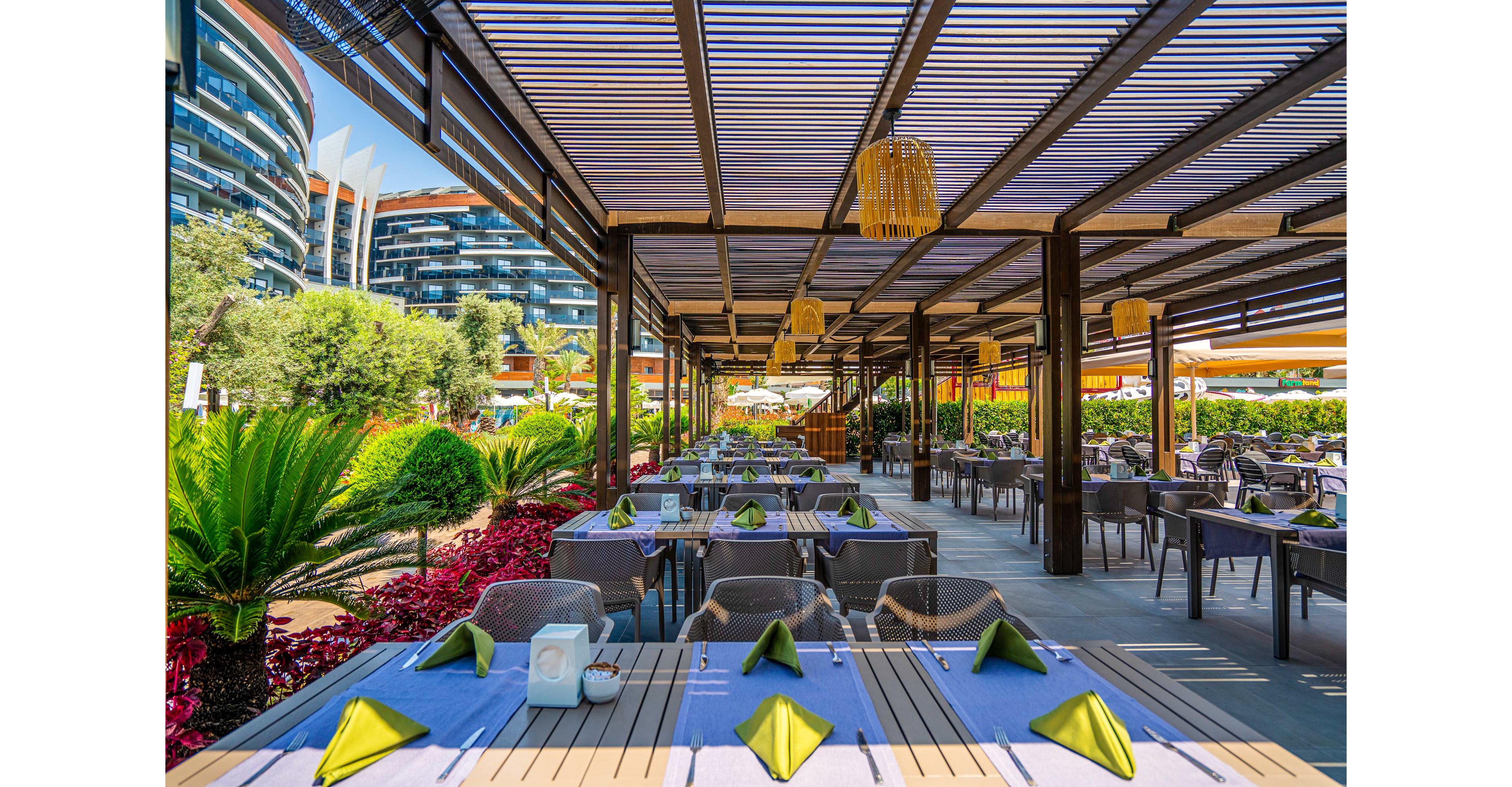 Calyptus Kirman Premium