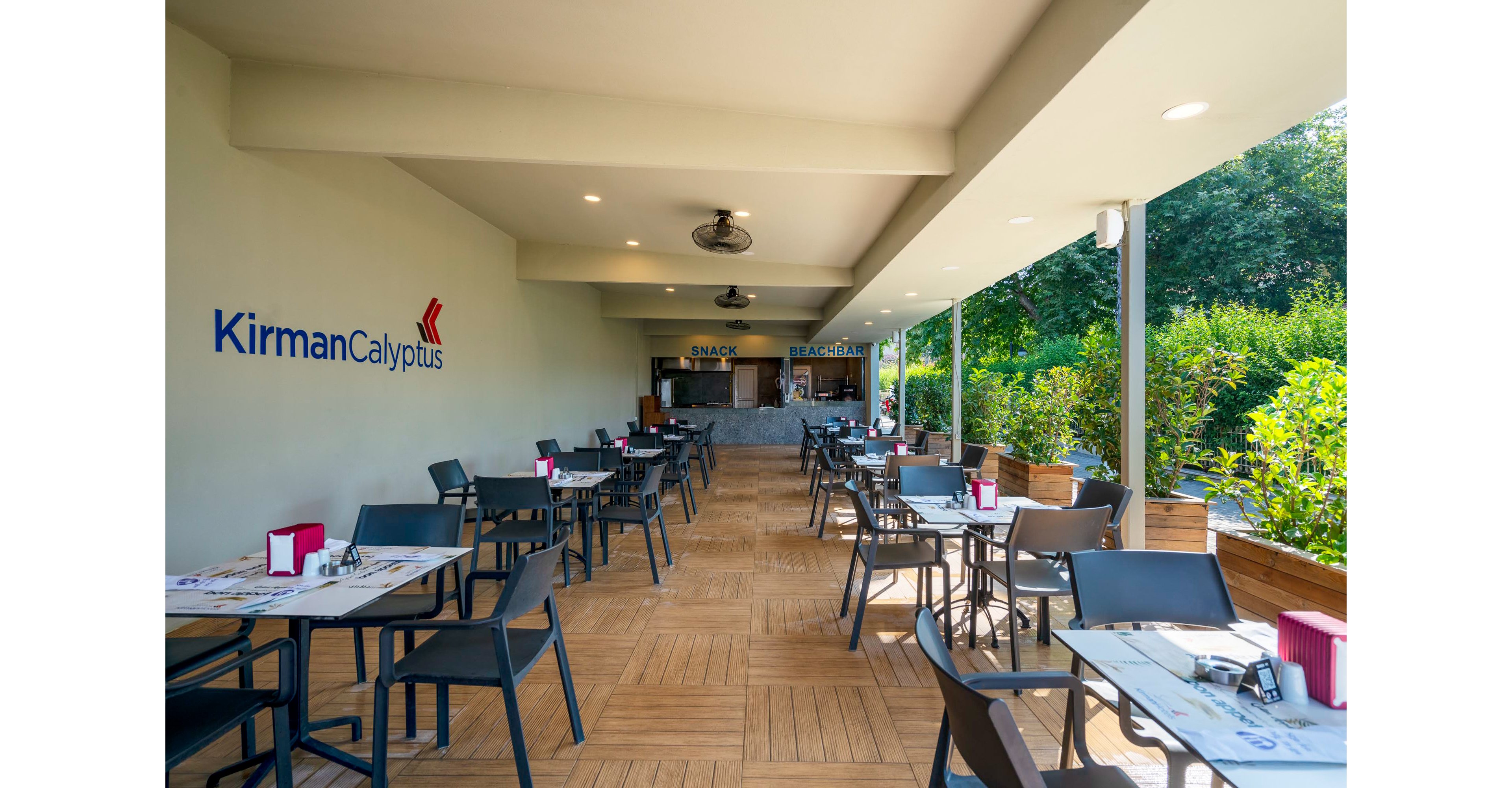 Calyptus Kirman Premium