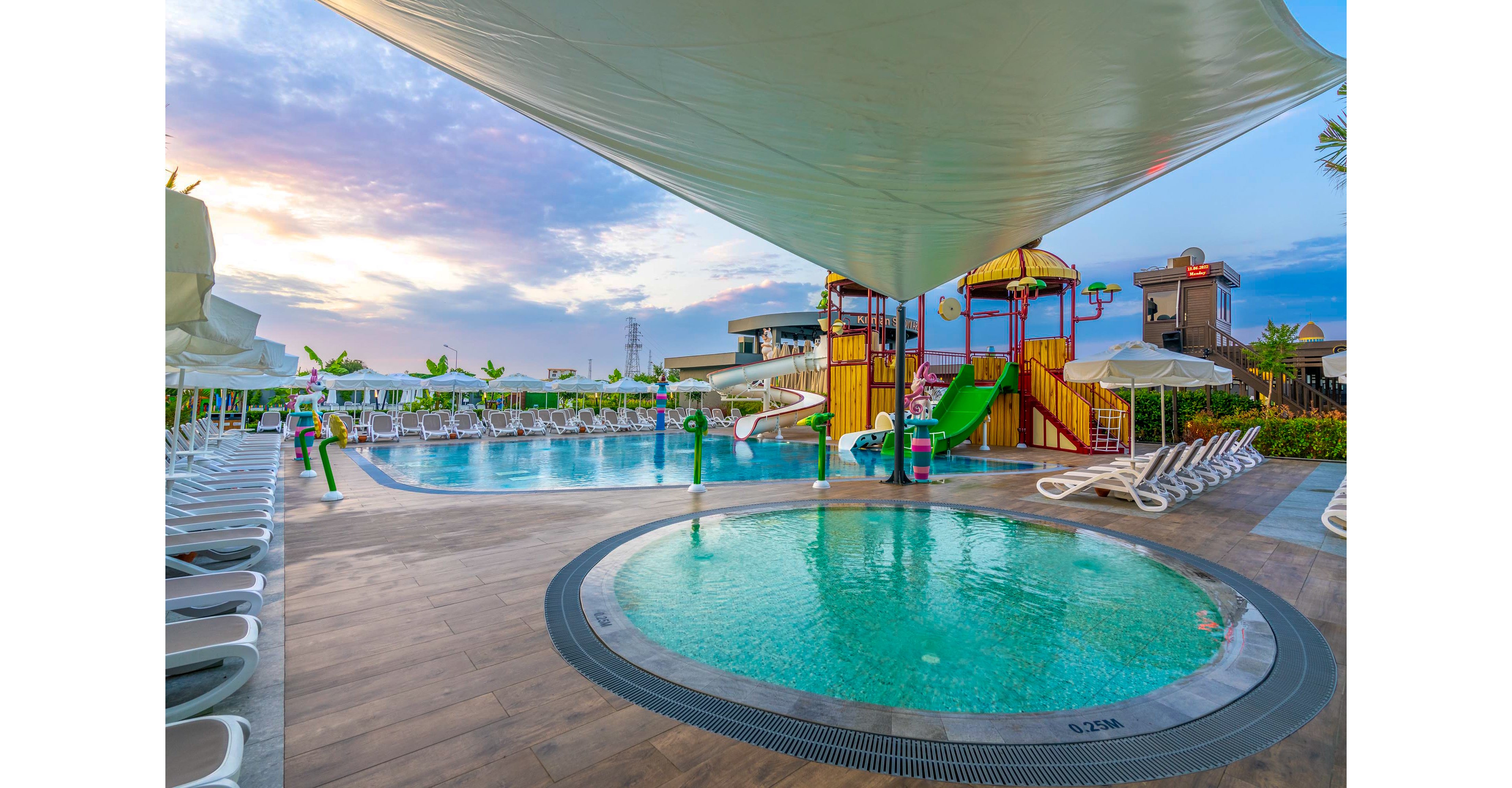 Calyptus Kirman Premium