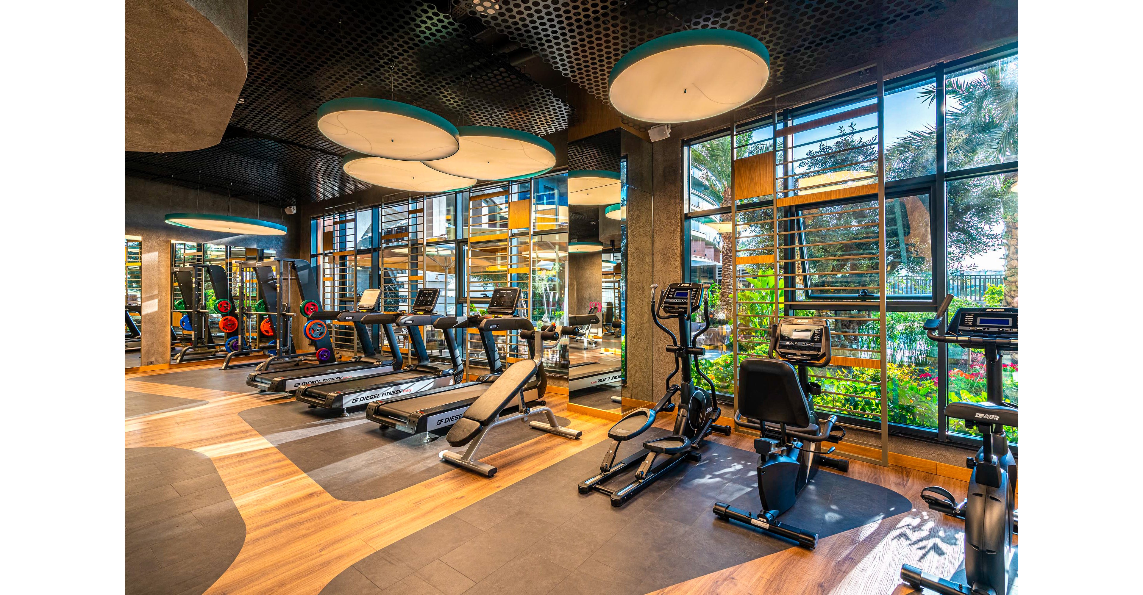 Calyptus Kirman Premium