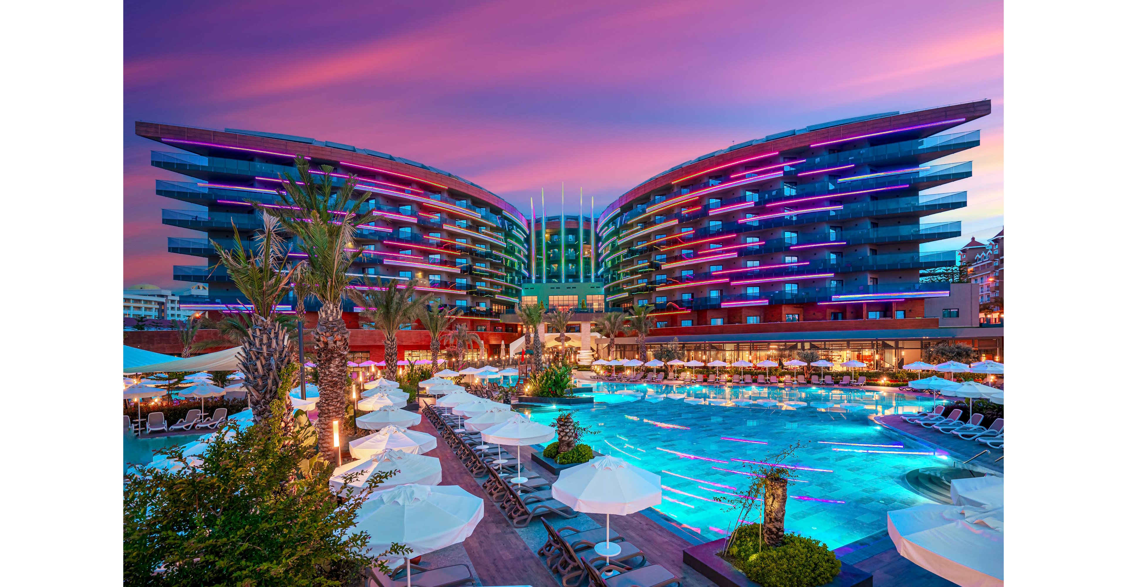 Calyptus Kirman Premium