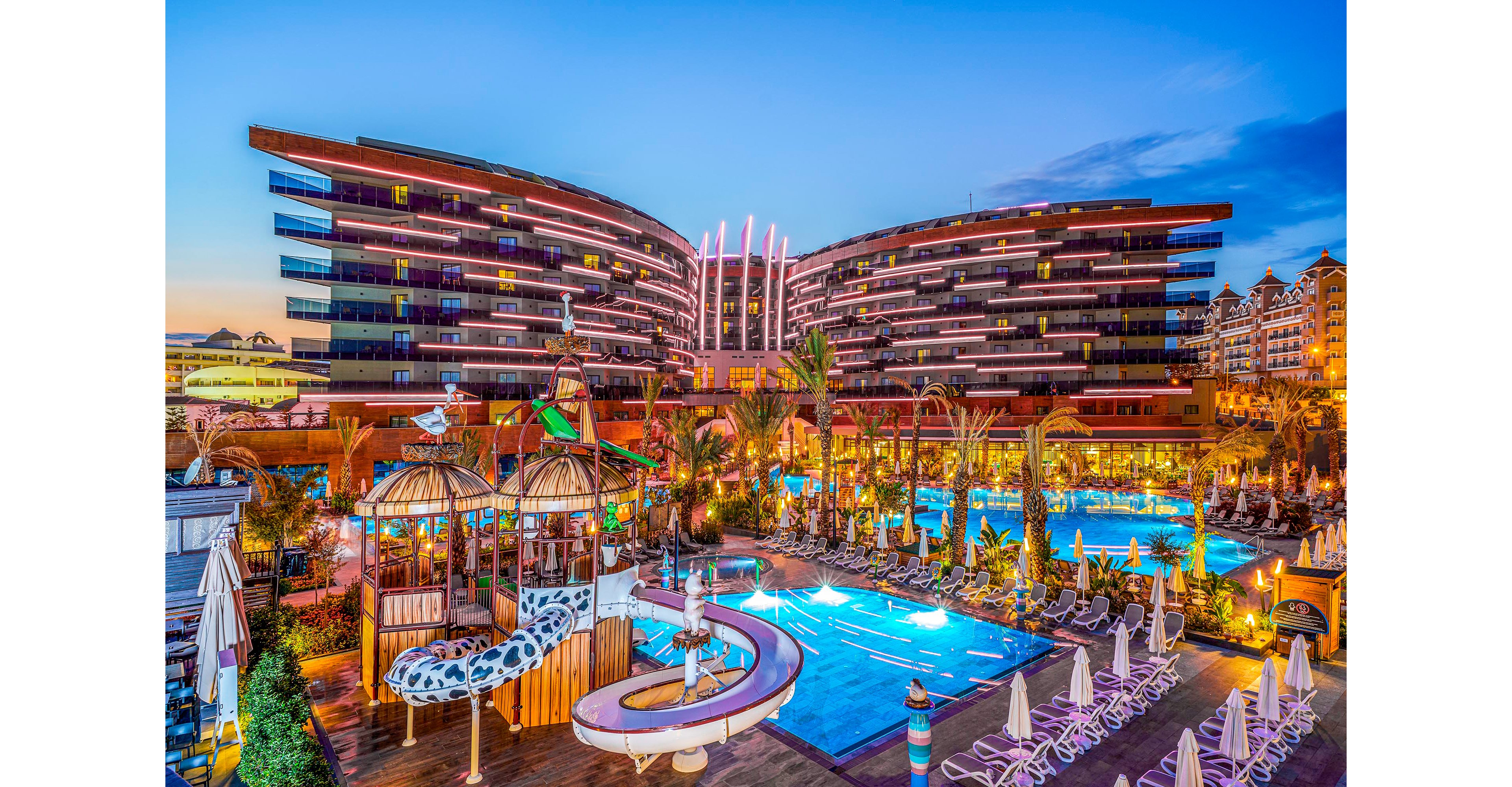 Calyptus Kirman Premium