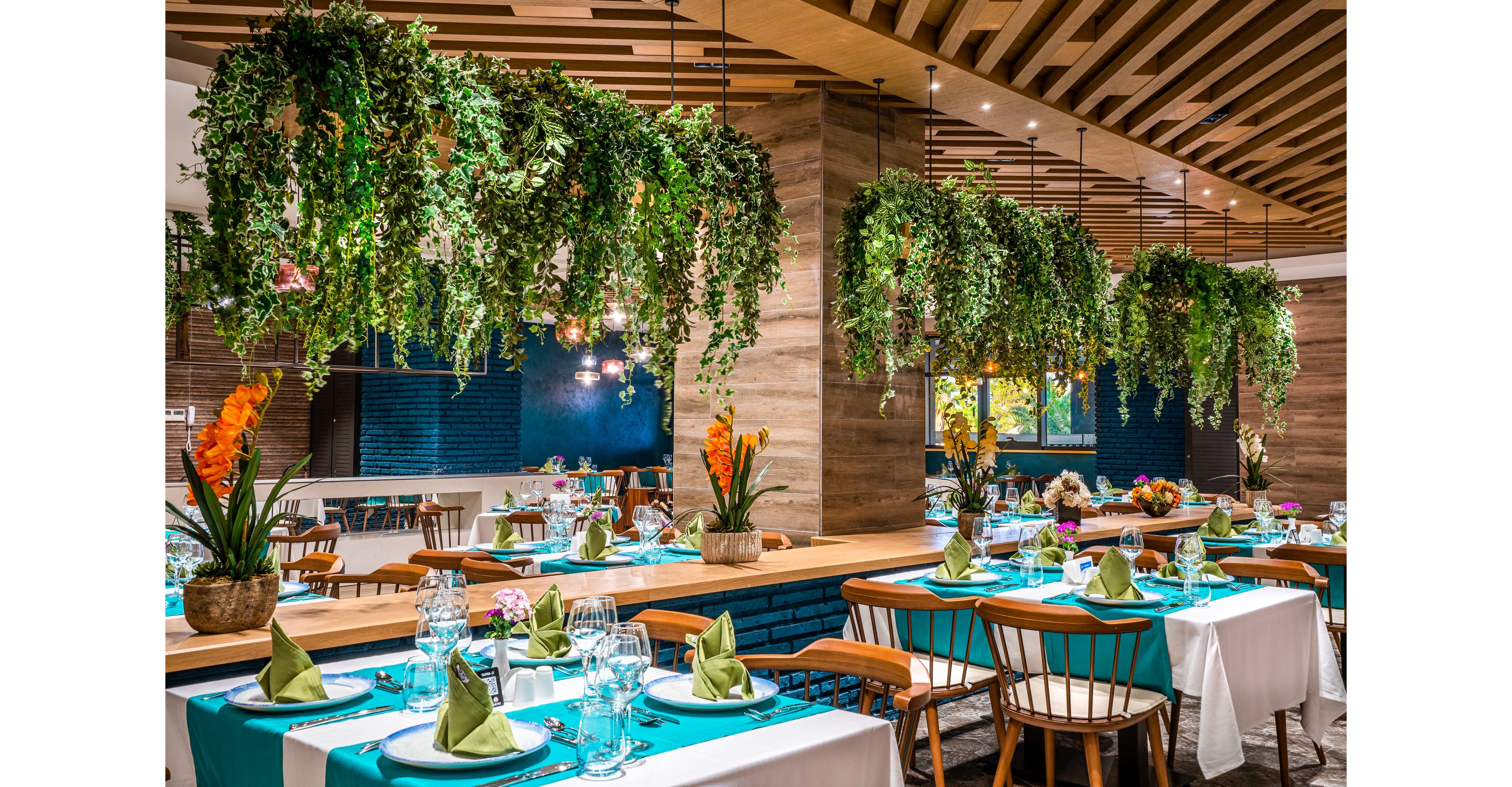 Calyptus Kirman Premium