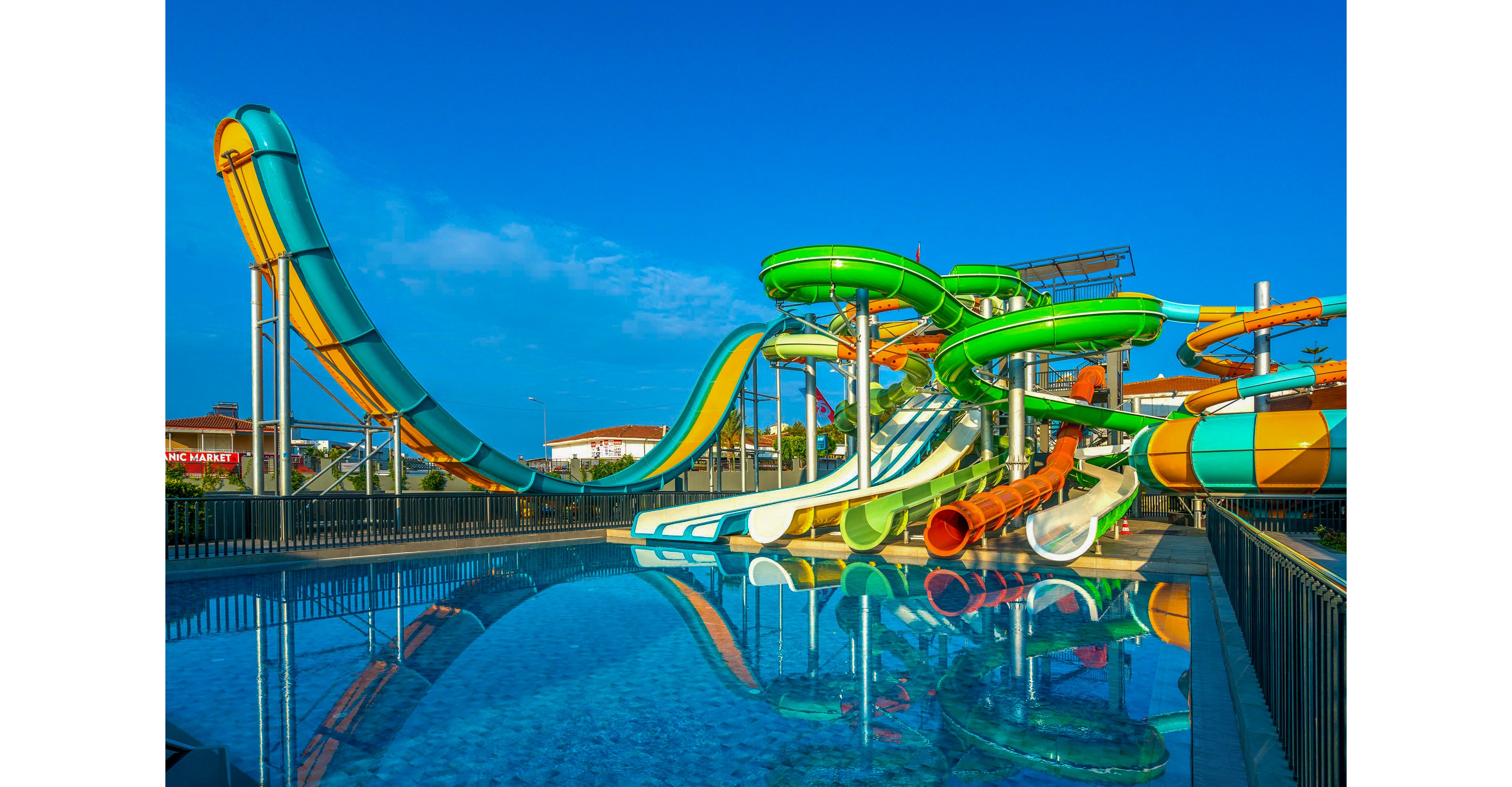 Calyptus Kirman Premium