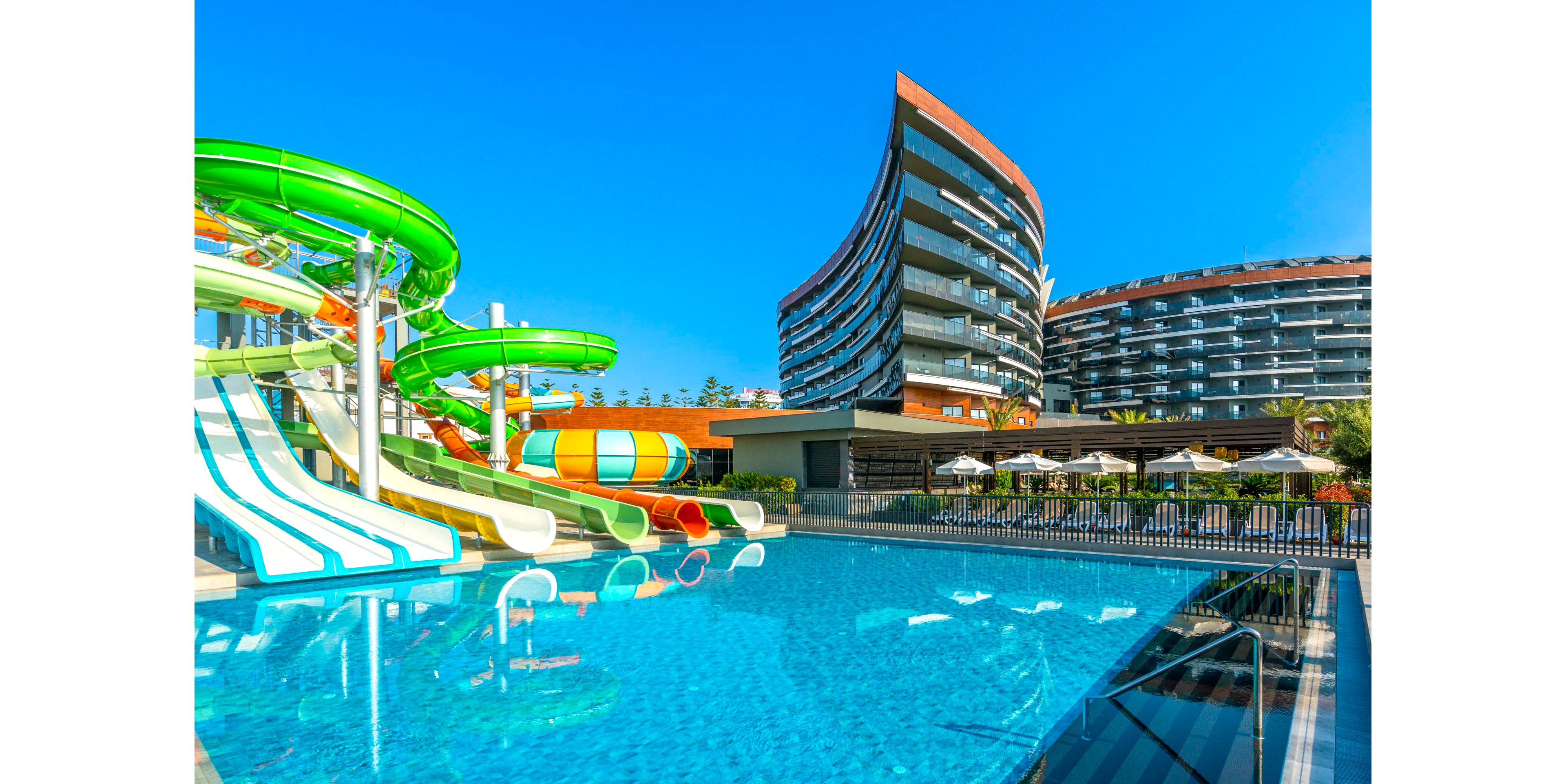 Calyptus Kirman Premium