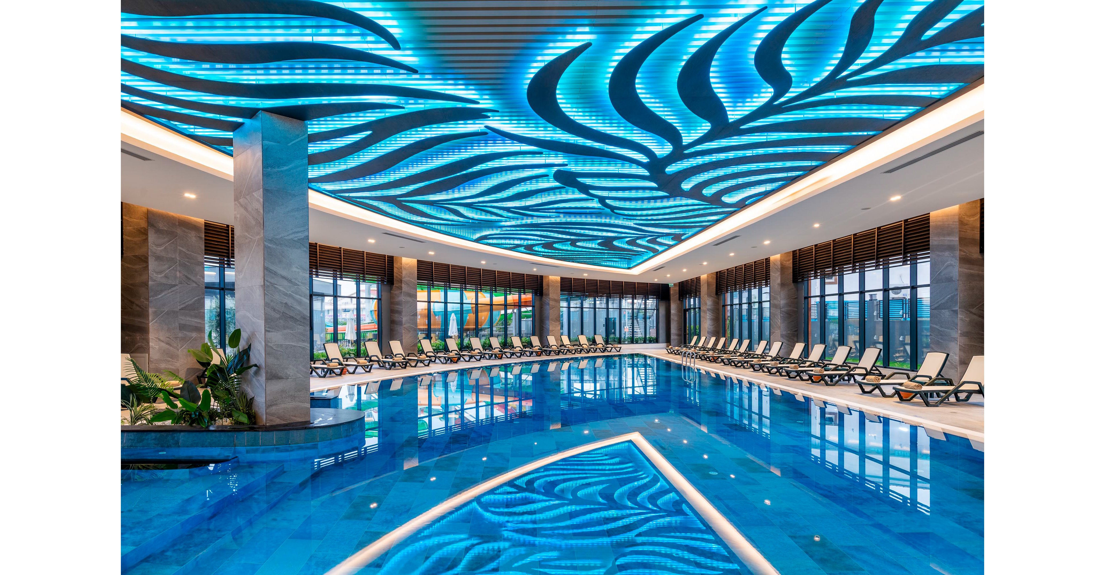 Calyptus Kirman Premium