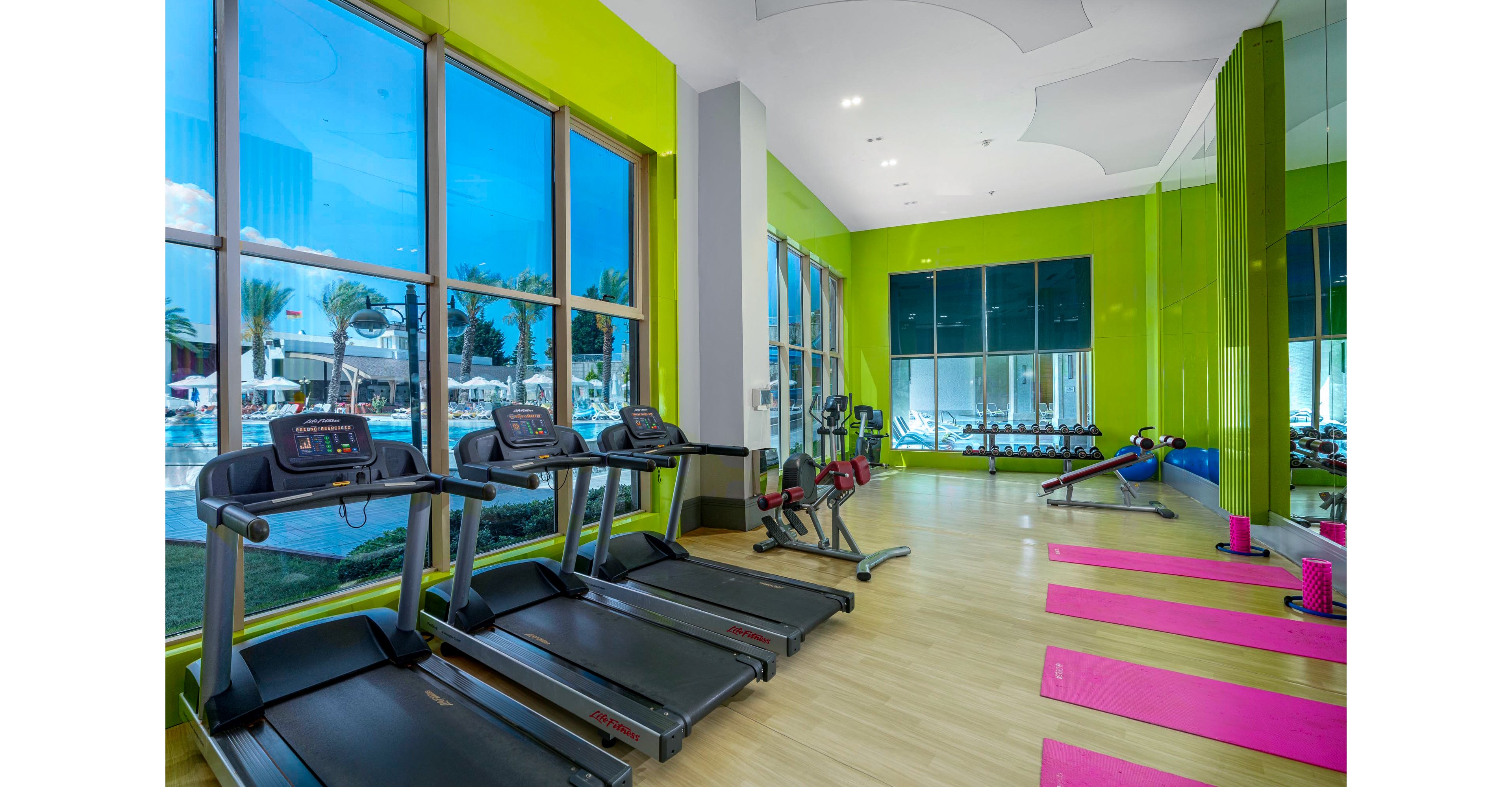 Sidemarin Kirman Premium