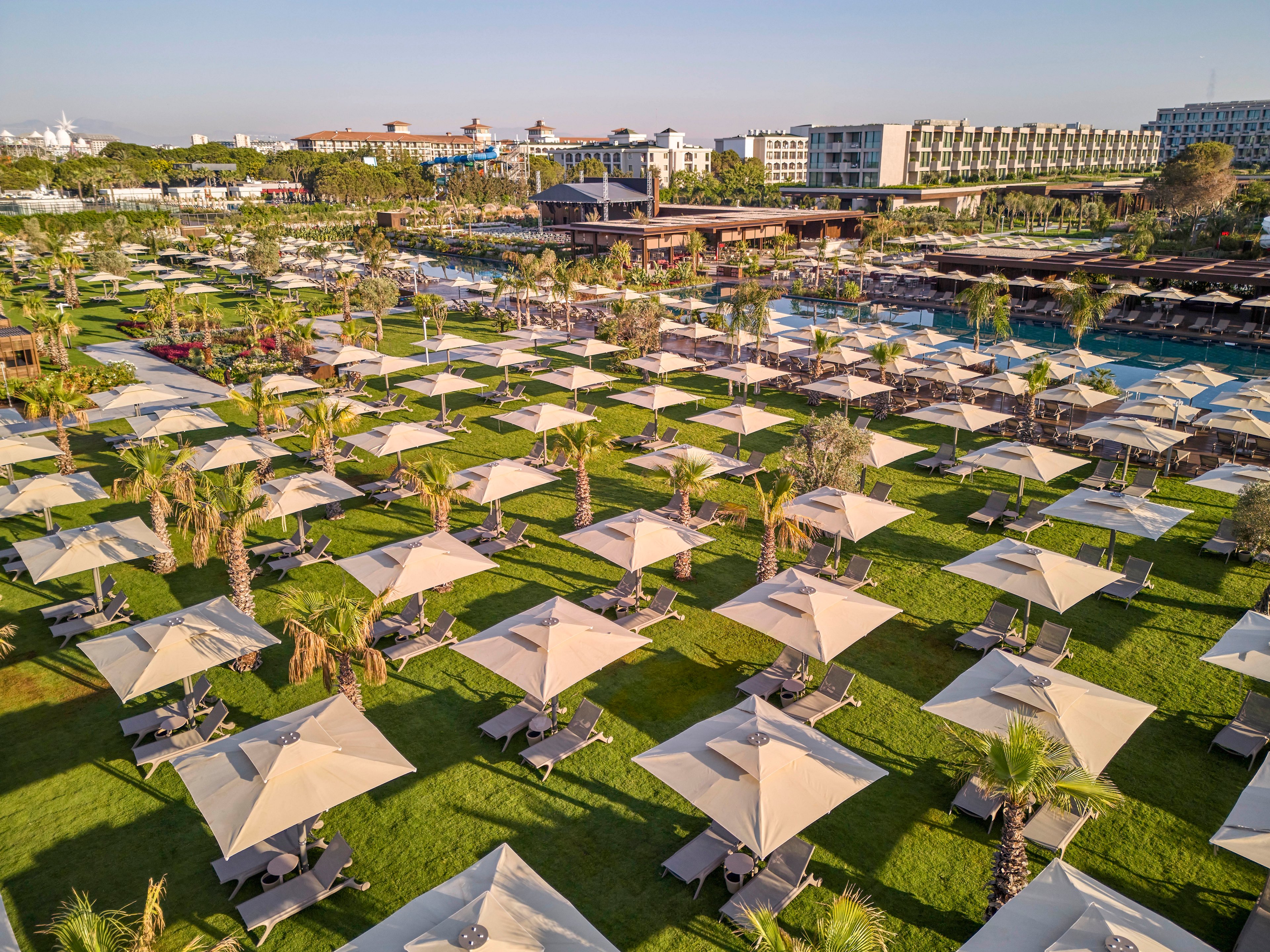 A large resort lawn is covered with neatly arranged sun loungers and beige parasols. Palm trees and manicured grass create a tropical, vacation atmosphere. In the background, hotel buildings and a pool area are visible under a clear sky. The scene suggests a relaxing holiday setting with ample outdoor seating for guests.