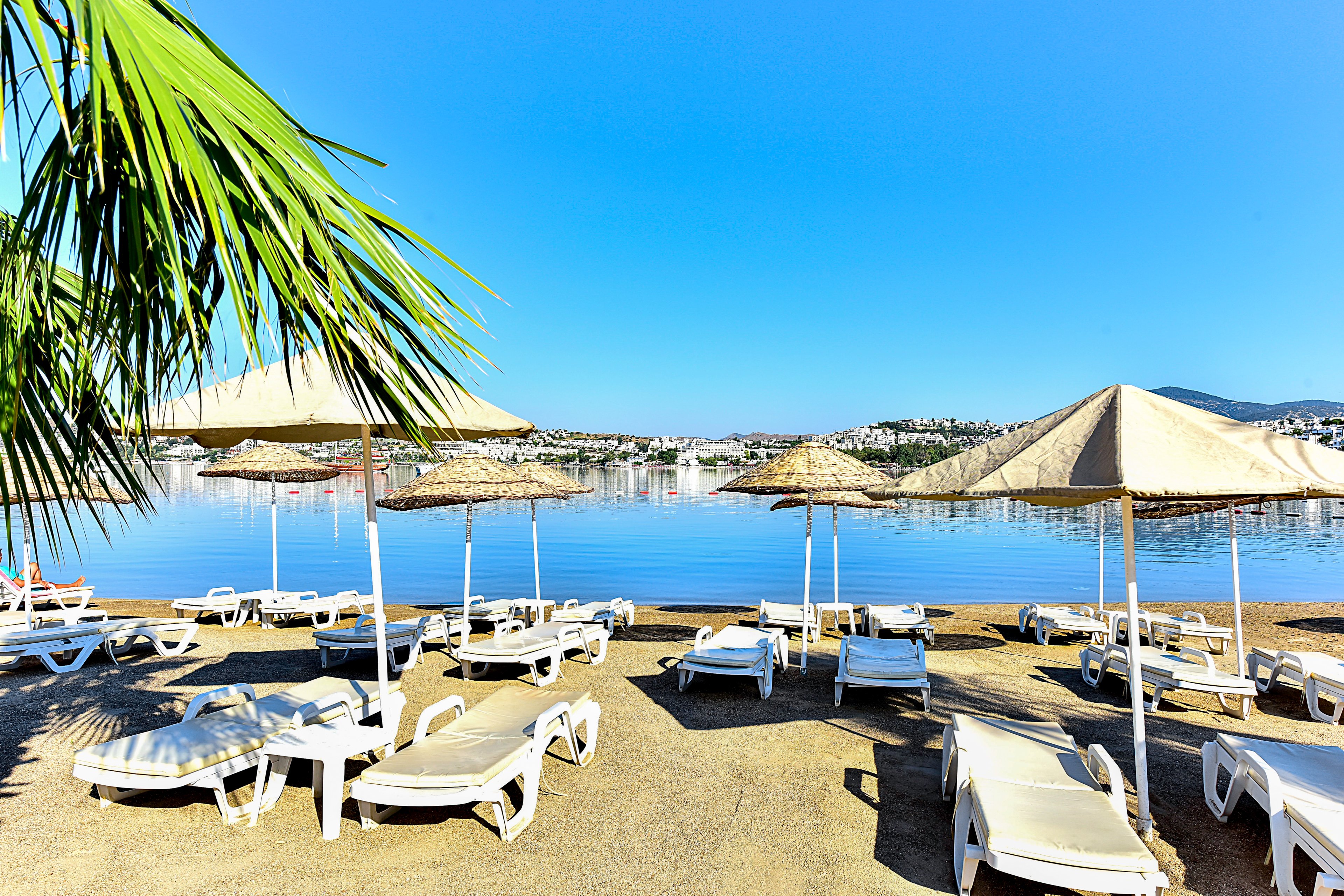 Tropicana Beach Apartments