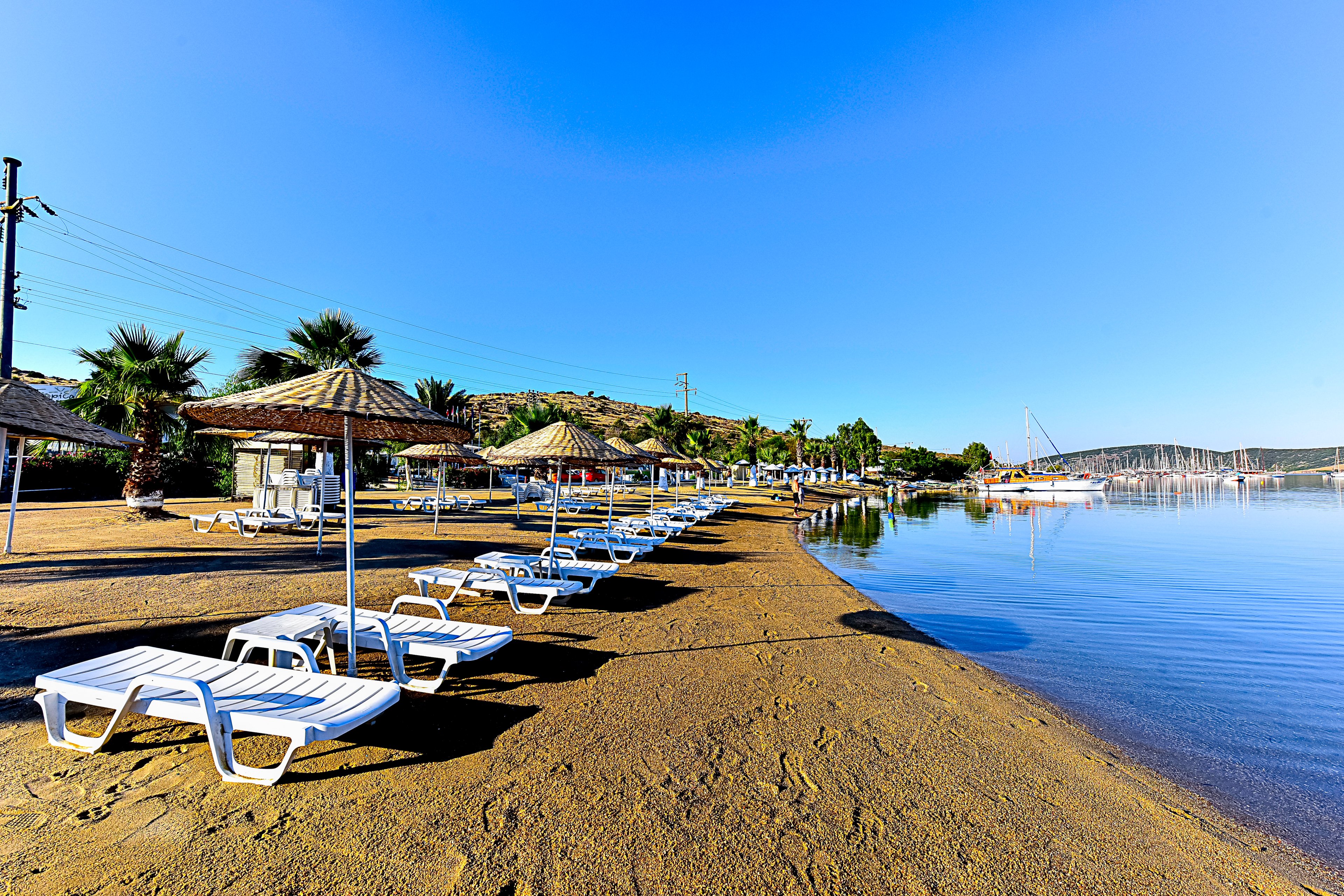 Tropicana Beach Apartments