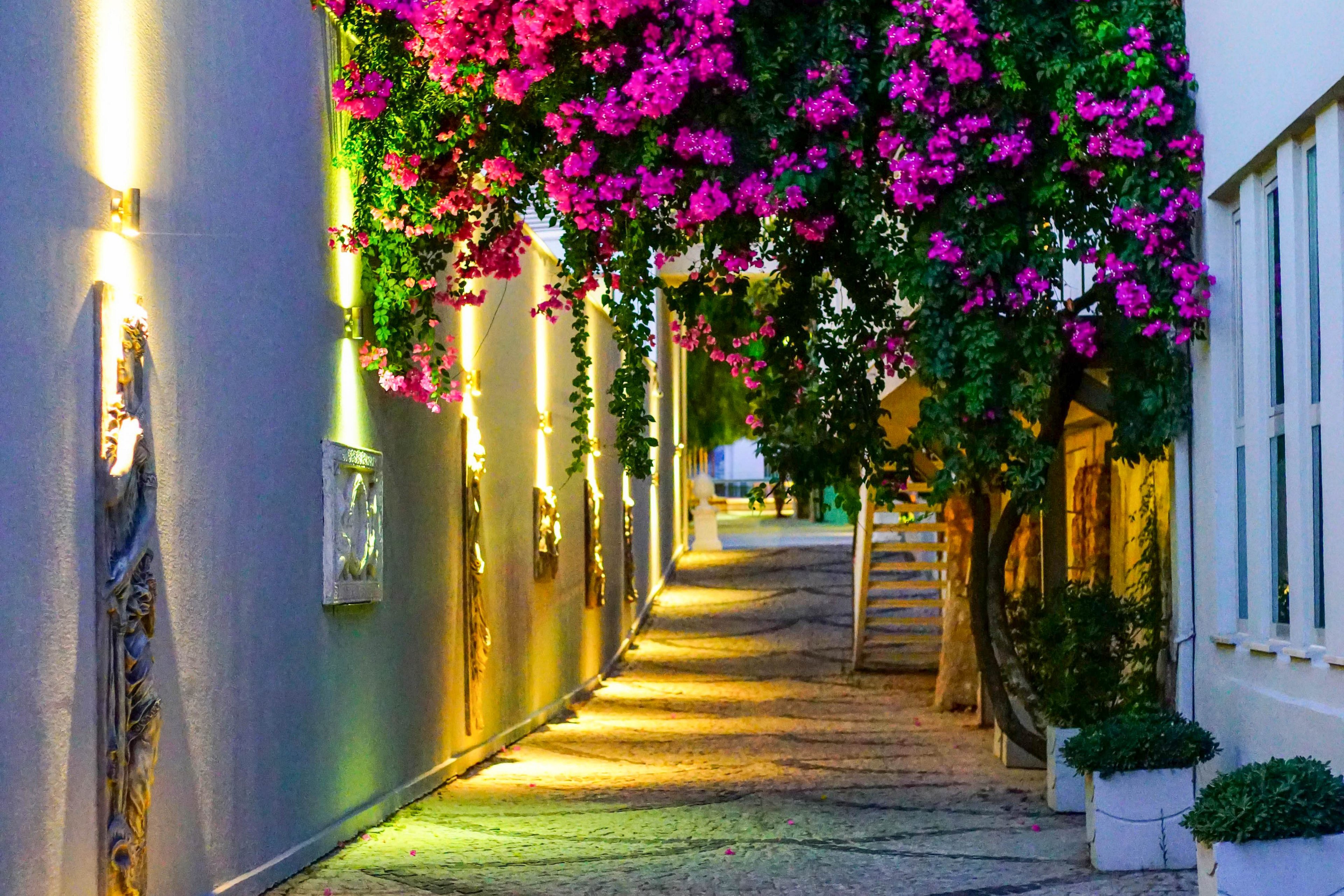 Blue Dreams Resort & Spa