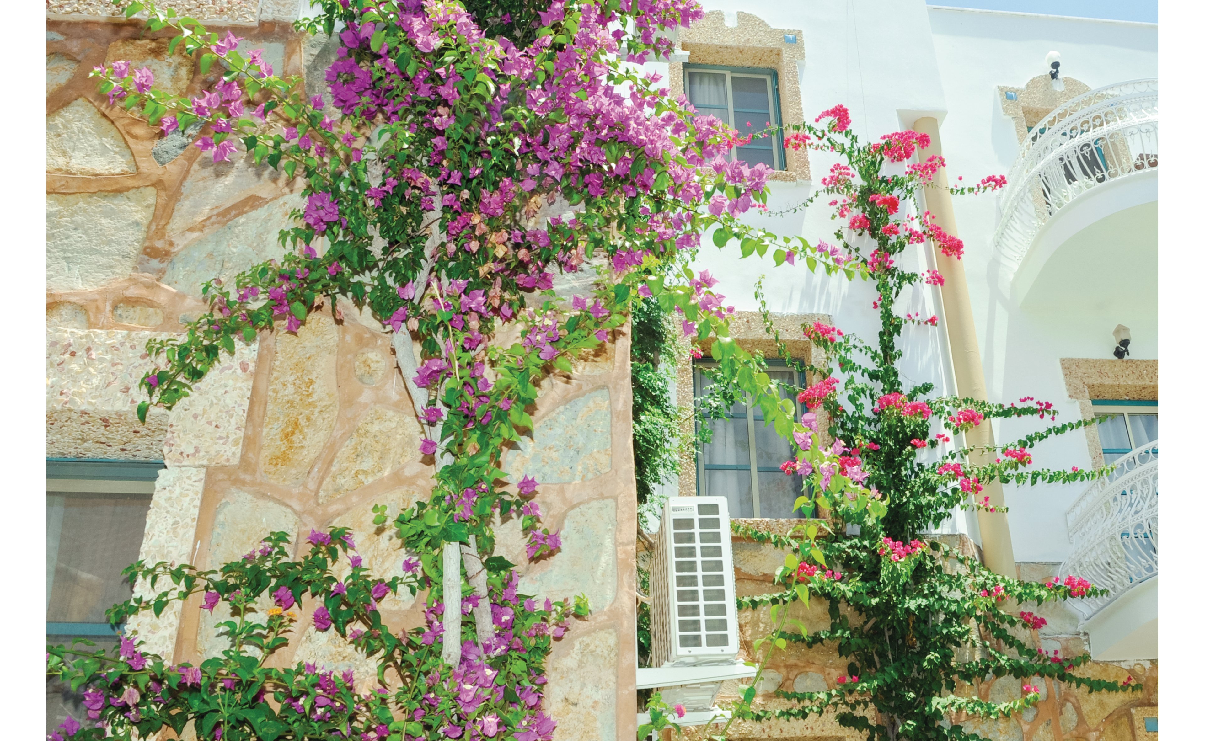 Siesta Beach Apartments